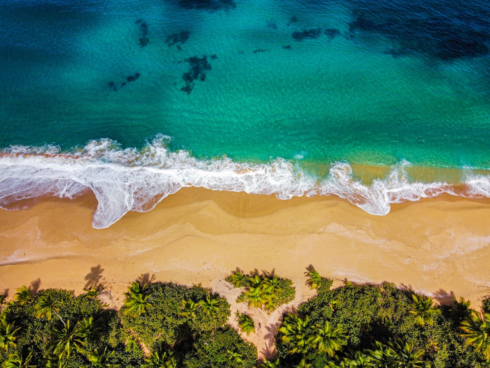 an aerial view of a sandy beach and ocean