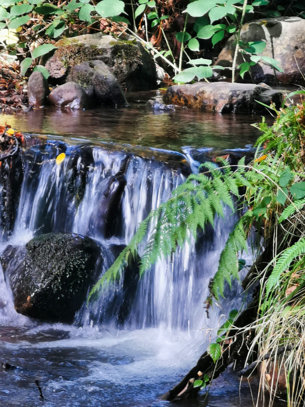 a small waterfall in the middle of a forest