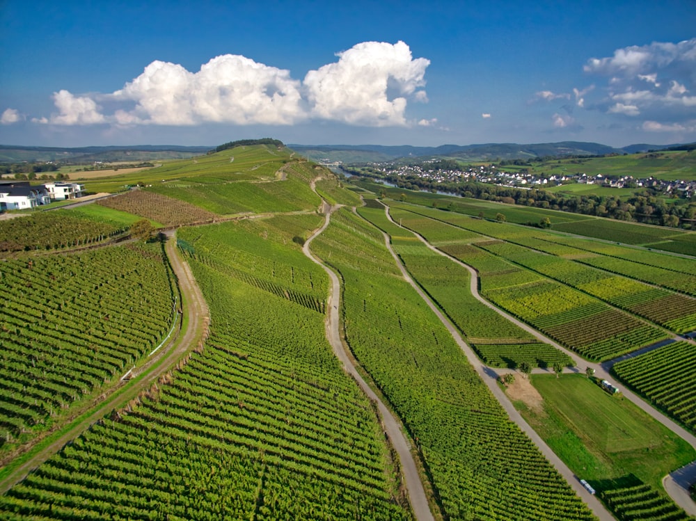 an aerial view of a vineyard in the countryside