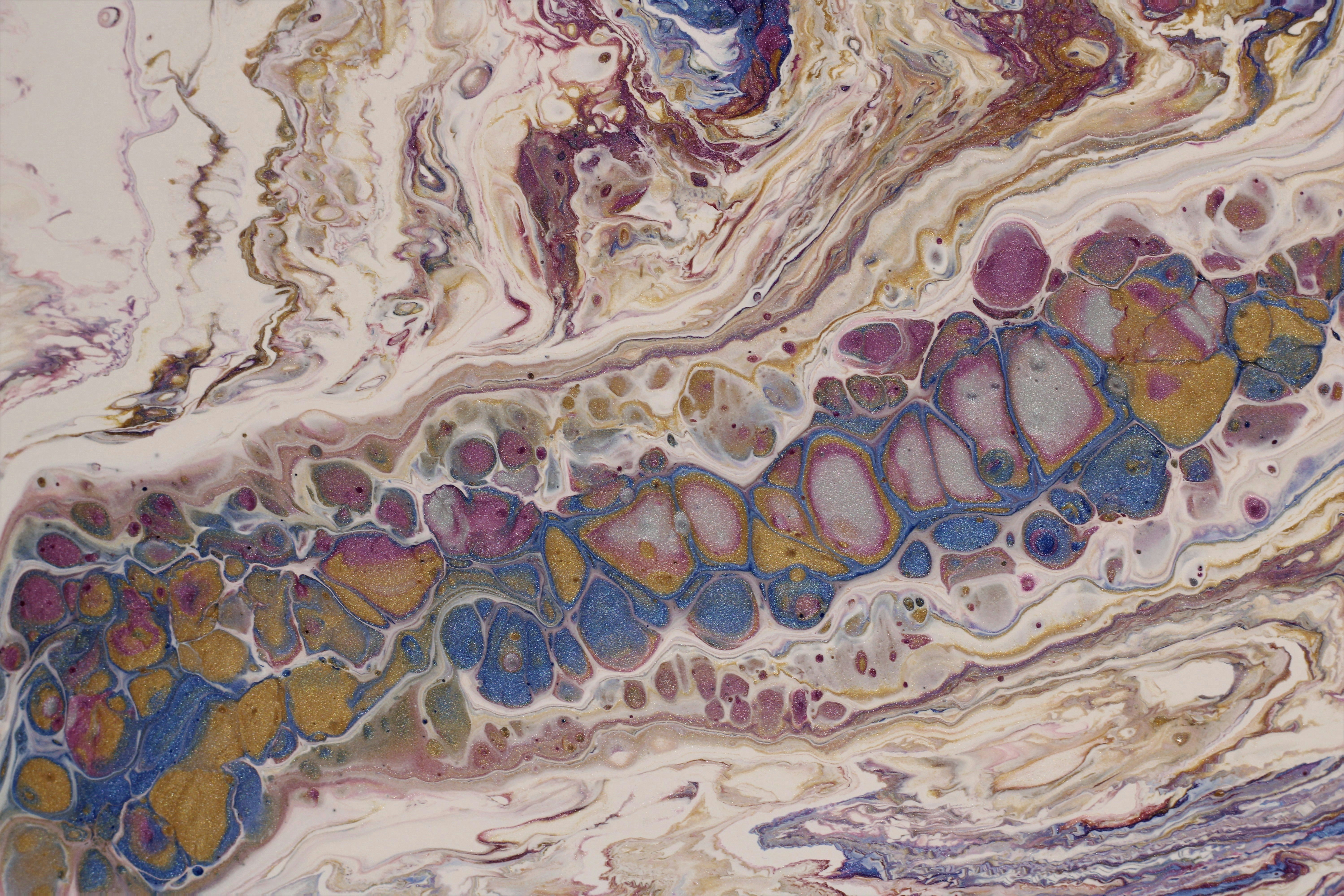 Photo by susan_wilkinson