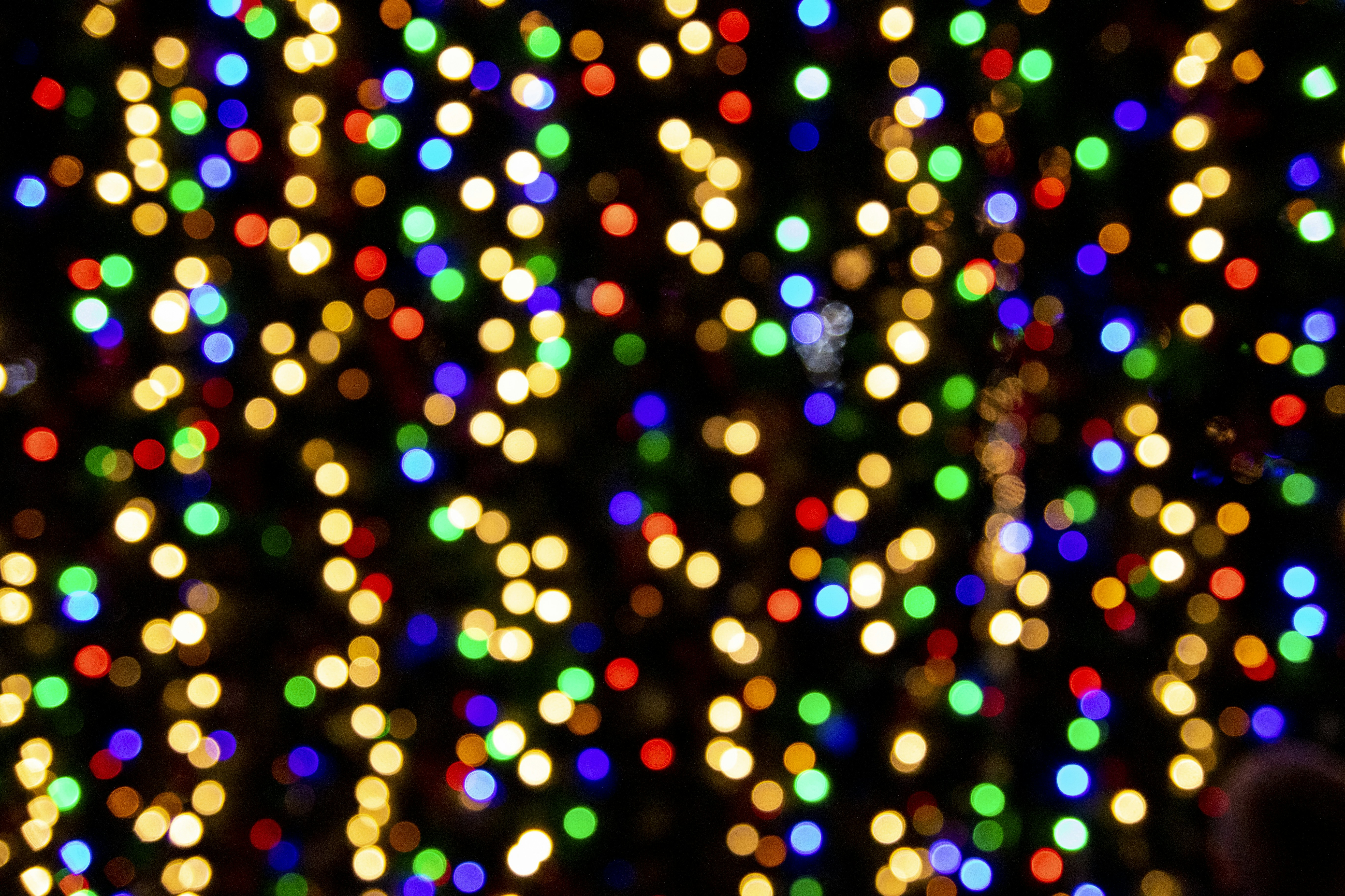 Photo by rocinante_11