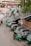 A line of green auto rickshaws is parked along a roadside near a pedestrian bridge. Several people are gathered around the vehicles, some loading goods or interacting with the drivers. Nearby buildings and street signage suggest a busy urban street corner.