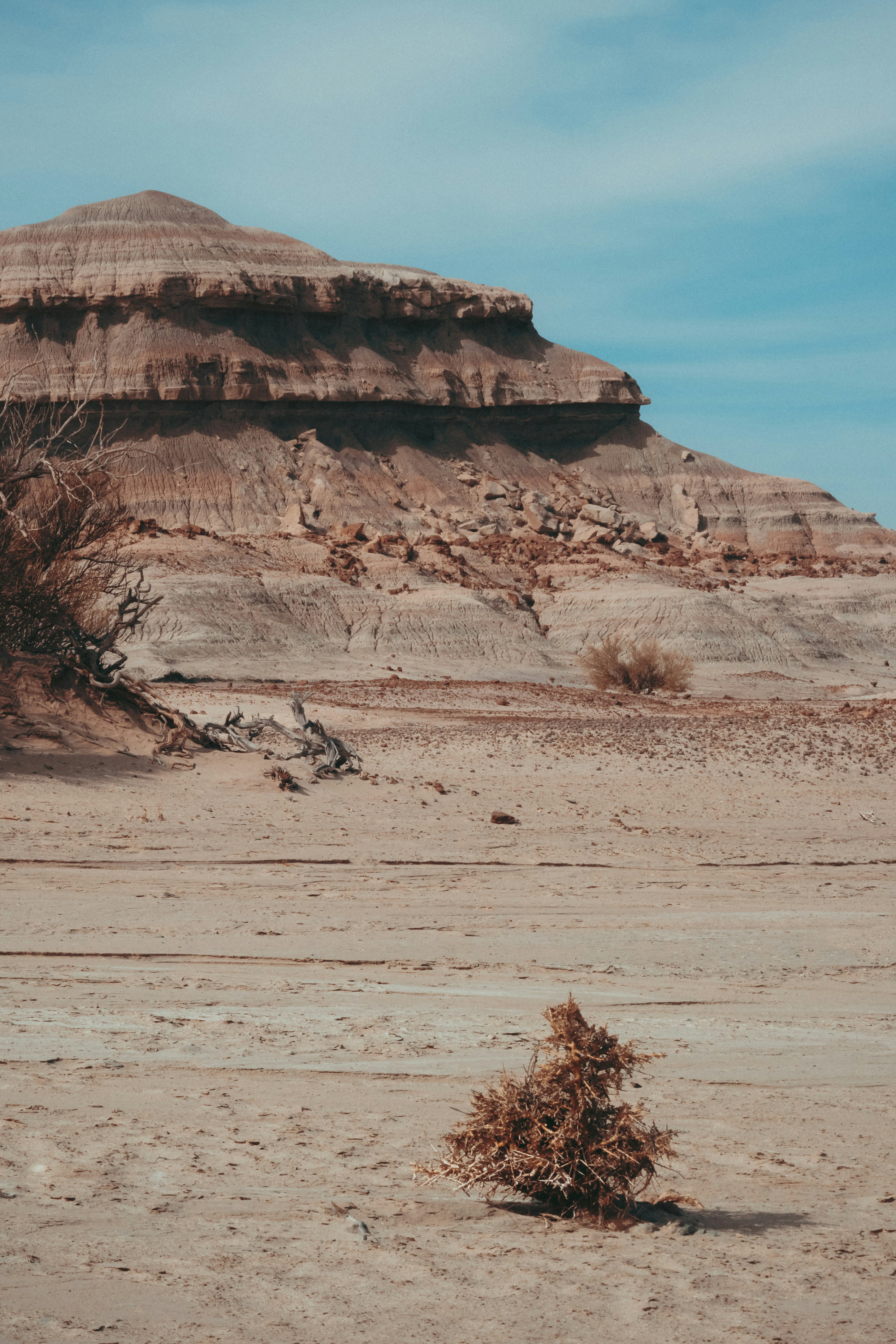 Photo by nature_of_the_experiment