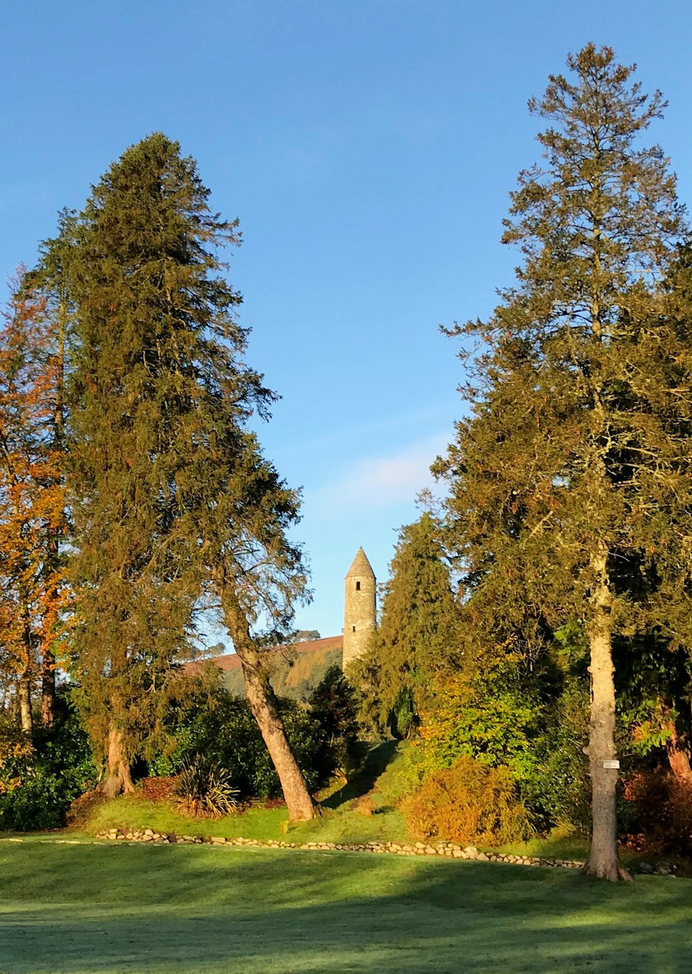 a grassy field with trees and a building in the background