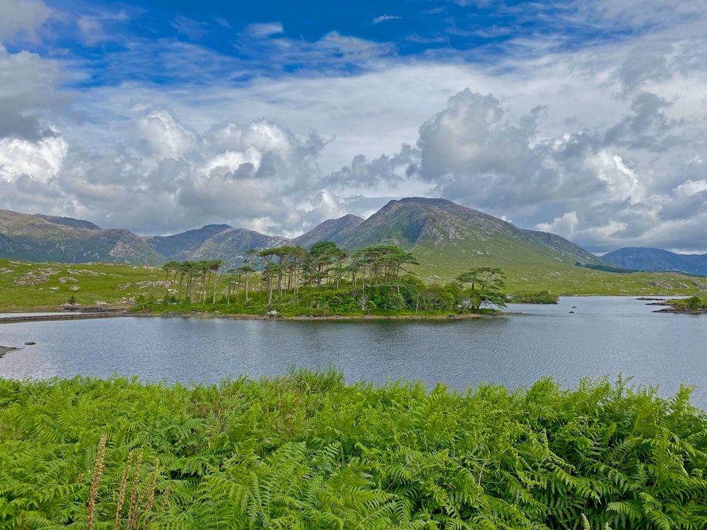 a large body of water surrounded by mountains