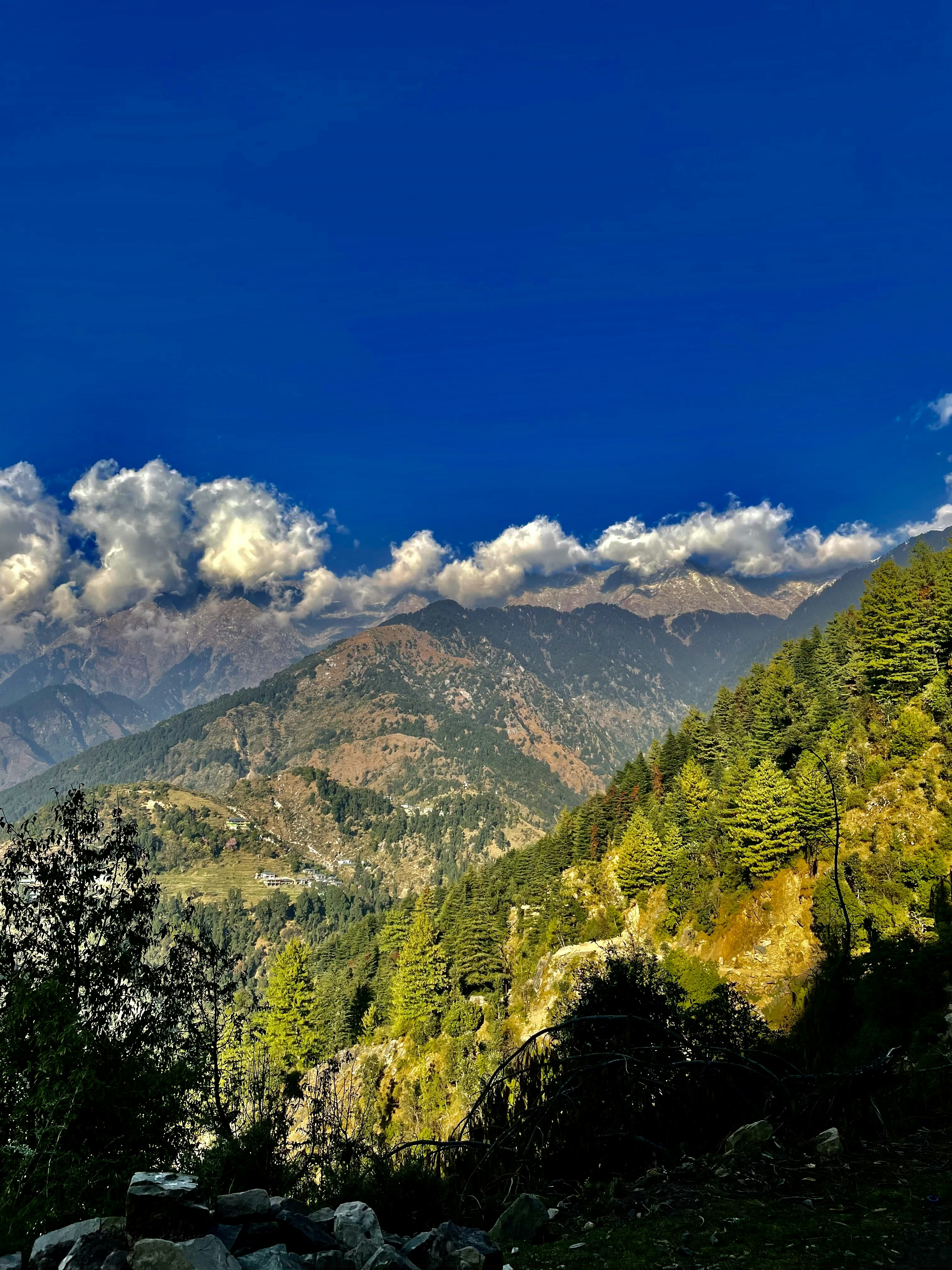 Photo by rajkaustubh32