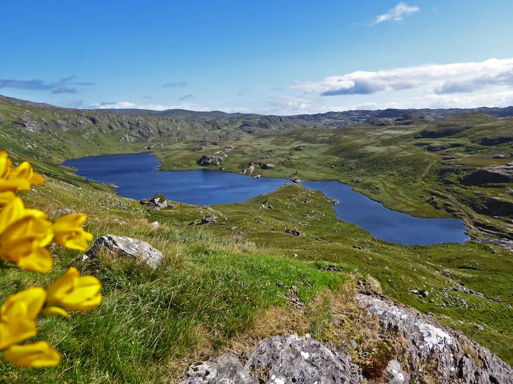 a view of a mountain with a lake and yellow flowers