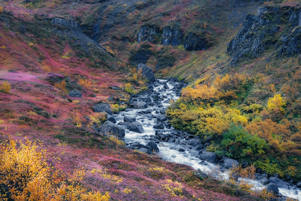 a river running through a lush green hillside