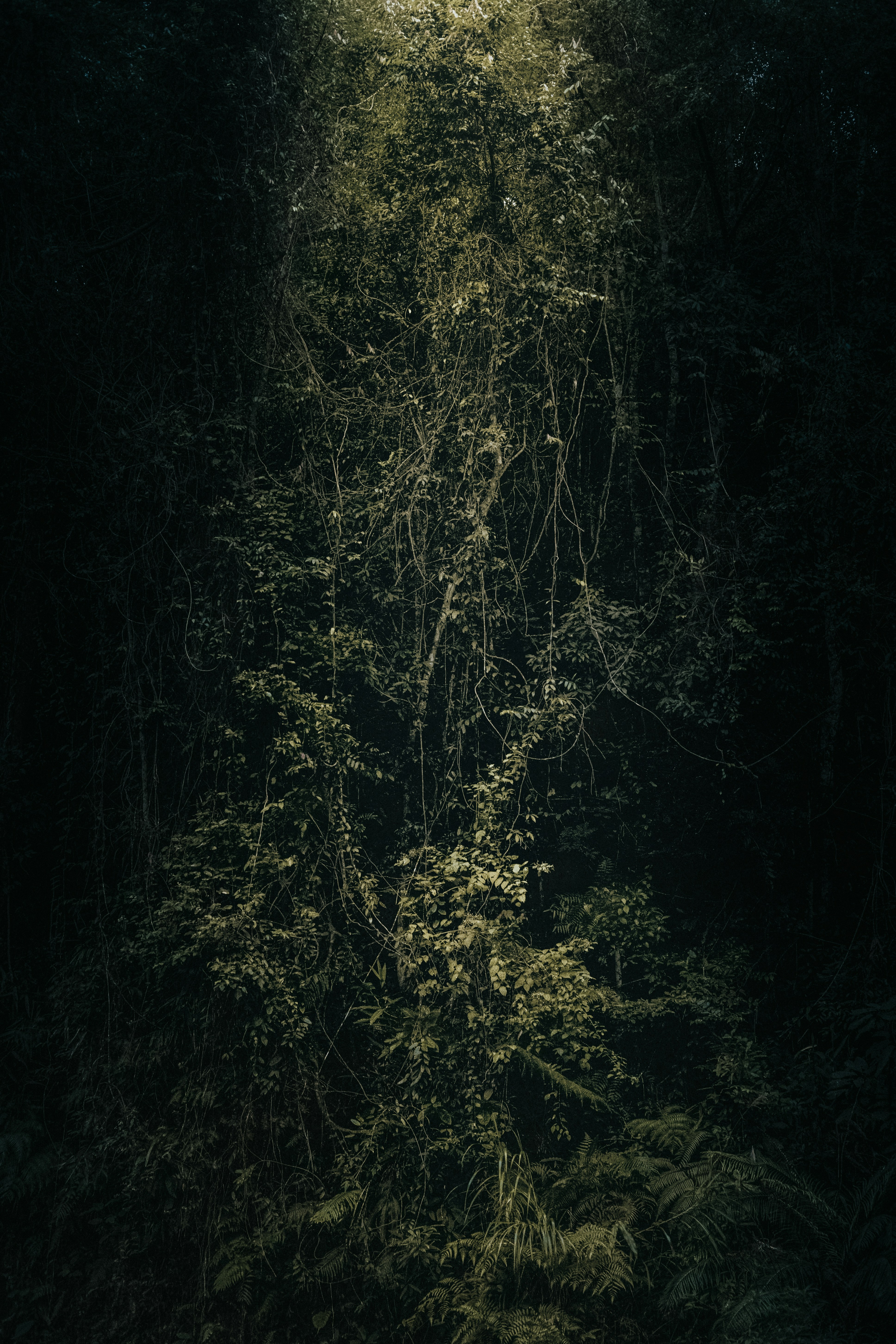 Photo by xiaowuuuuuuu