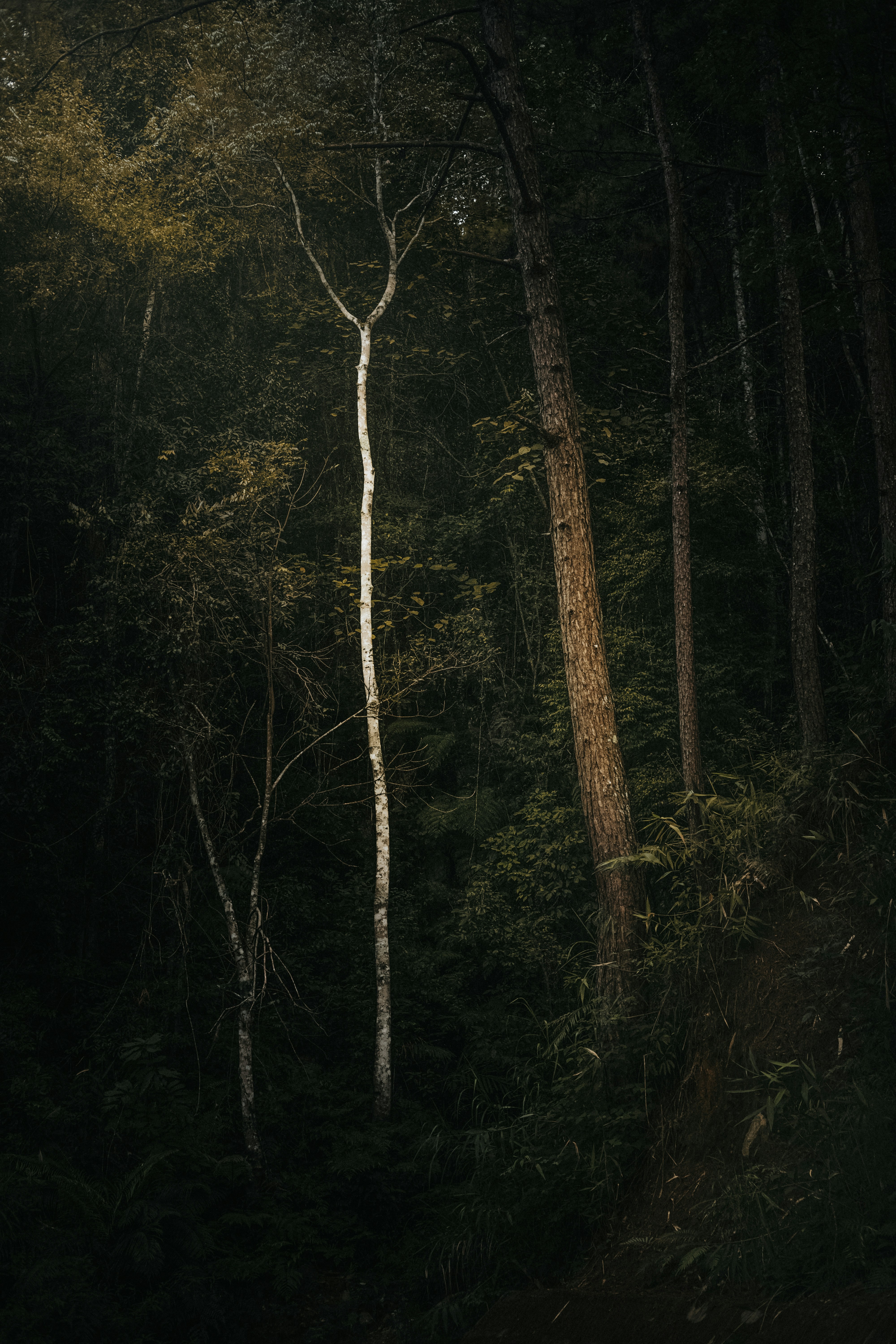 Photo by xiaowuuuuuuu