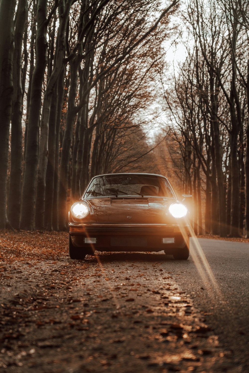 a car driving down a road surrounded by trees