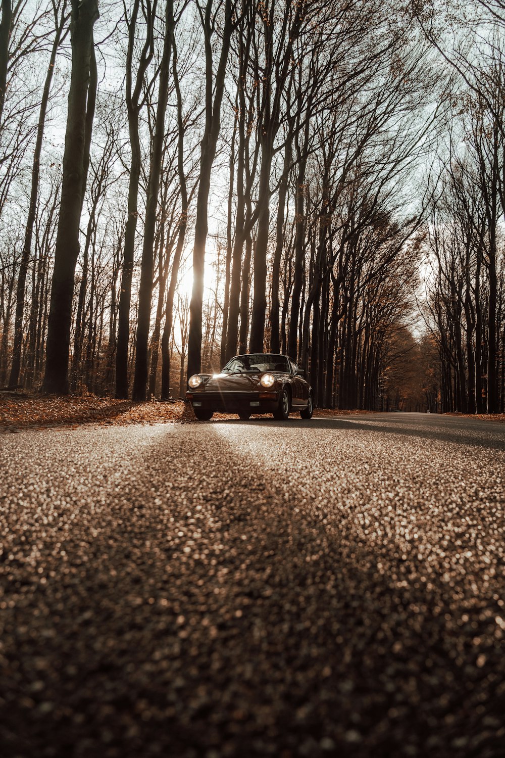 a car driving down a road surrounded by trees