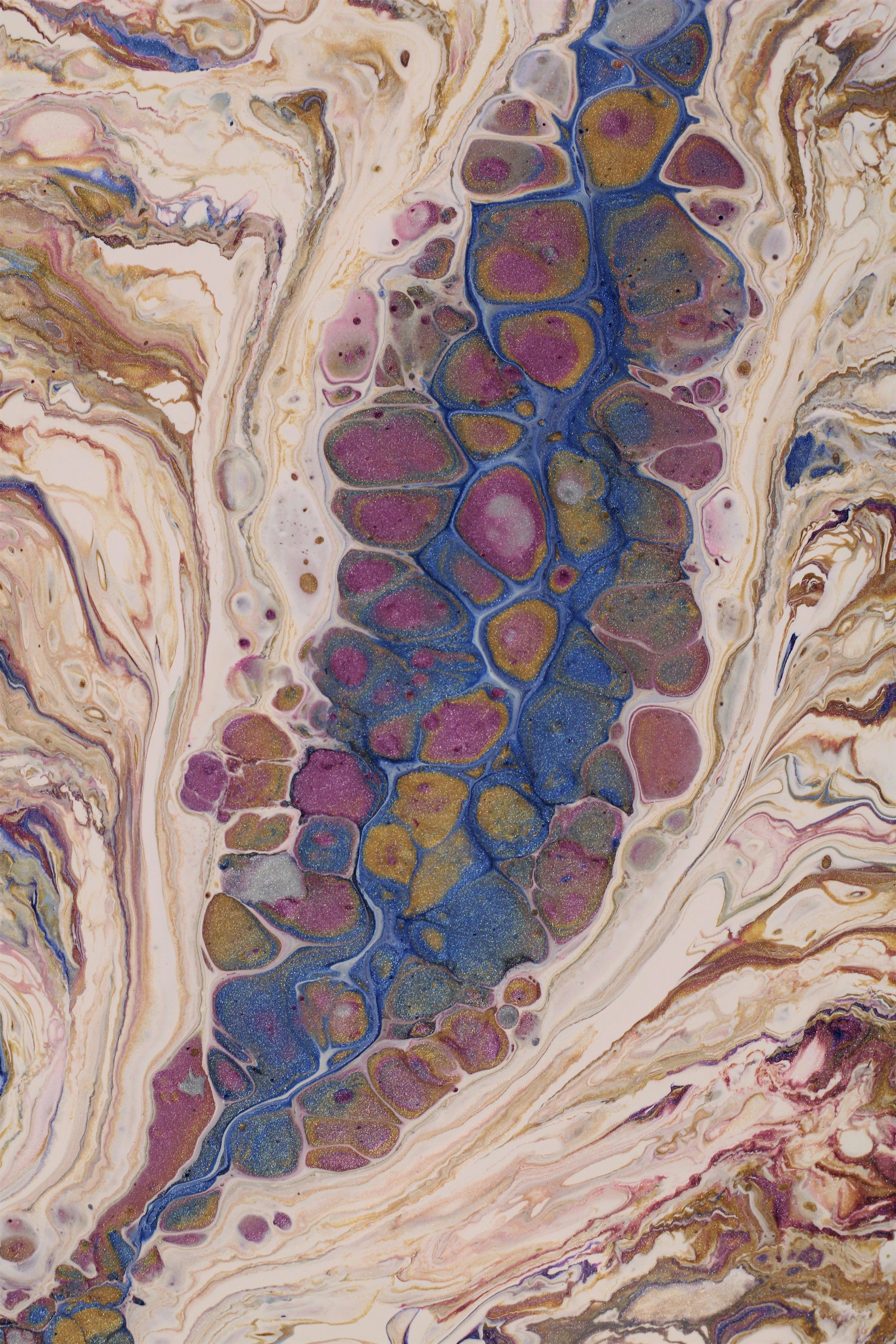 Photo by susan_wilkinson