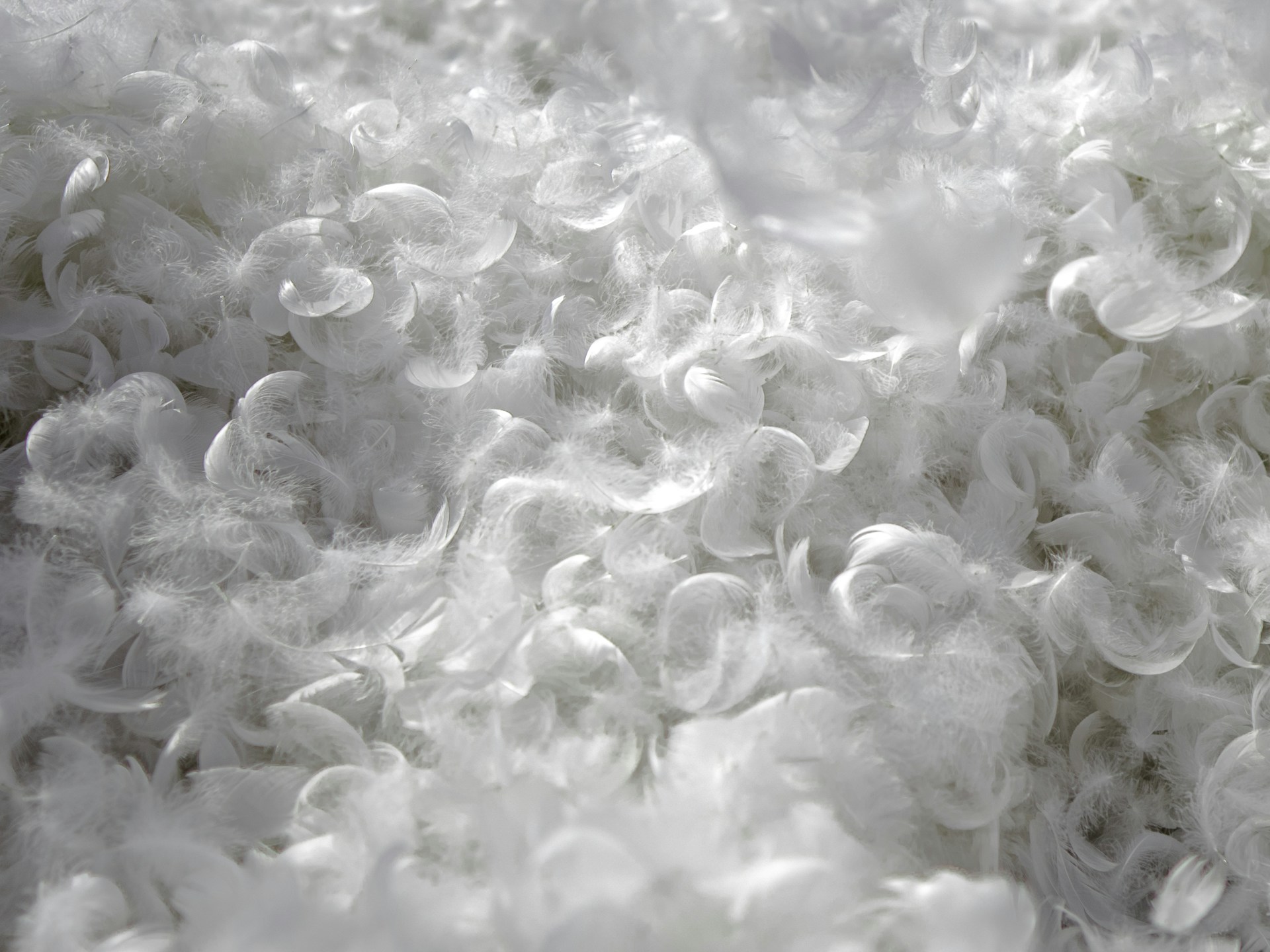 a close up of a bunch of white bubbles