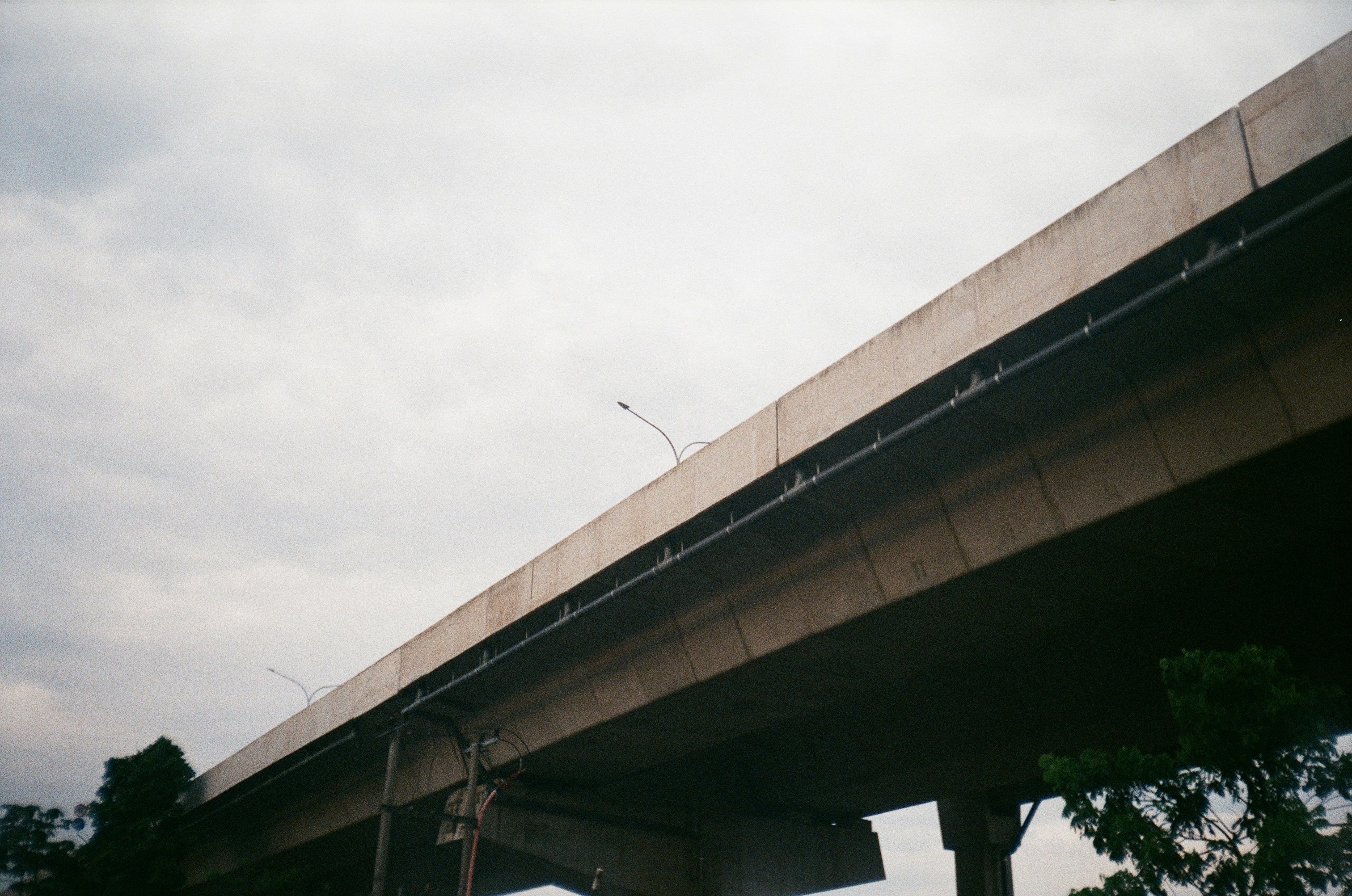 Photo by ramdhaniadityaf