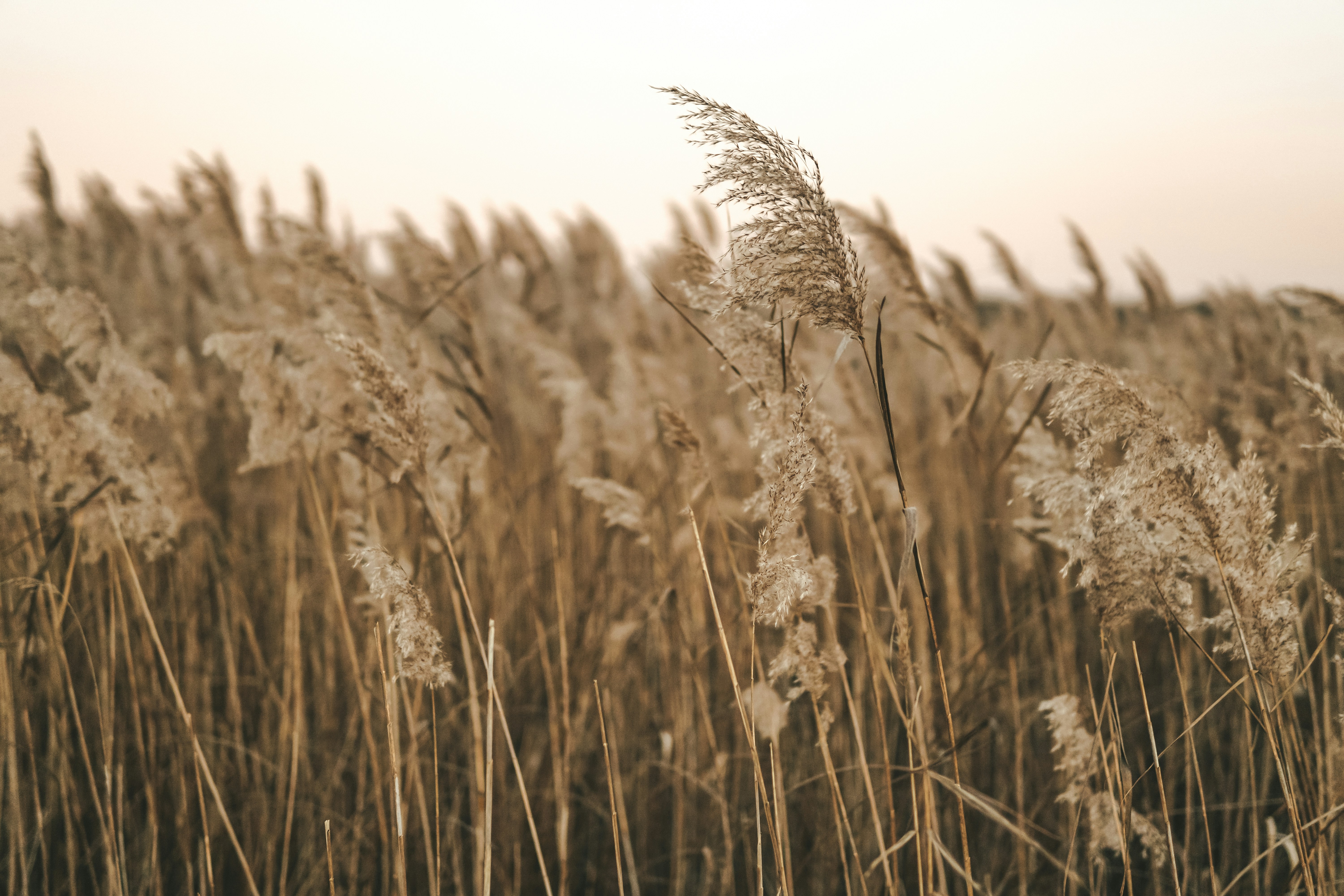 Photo by mertkahveci