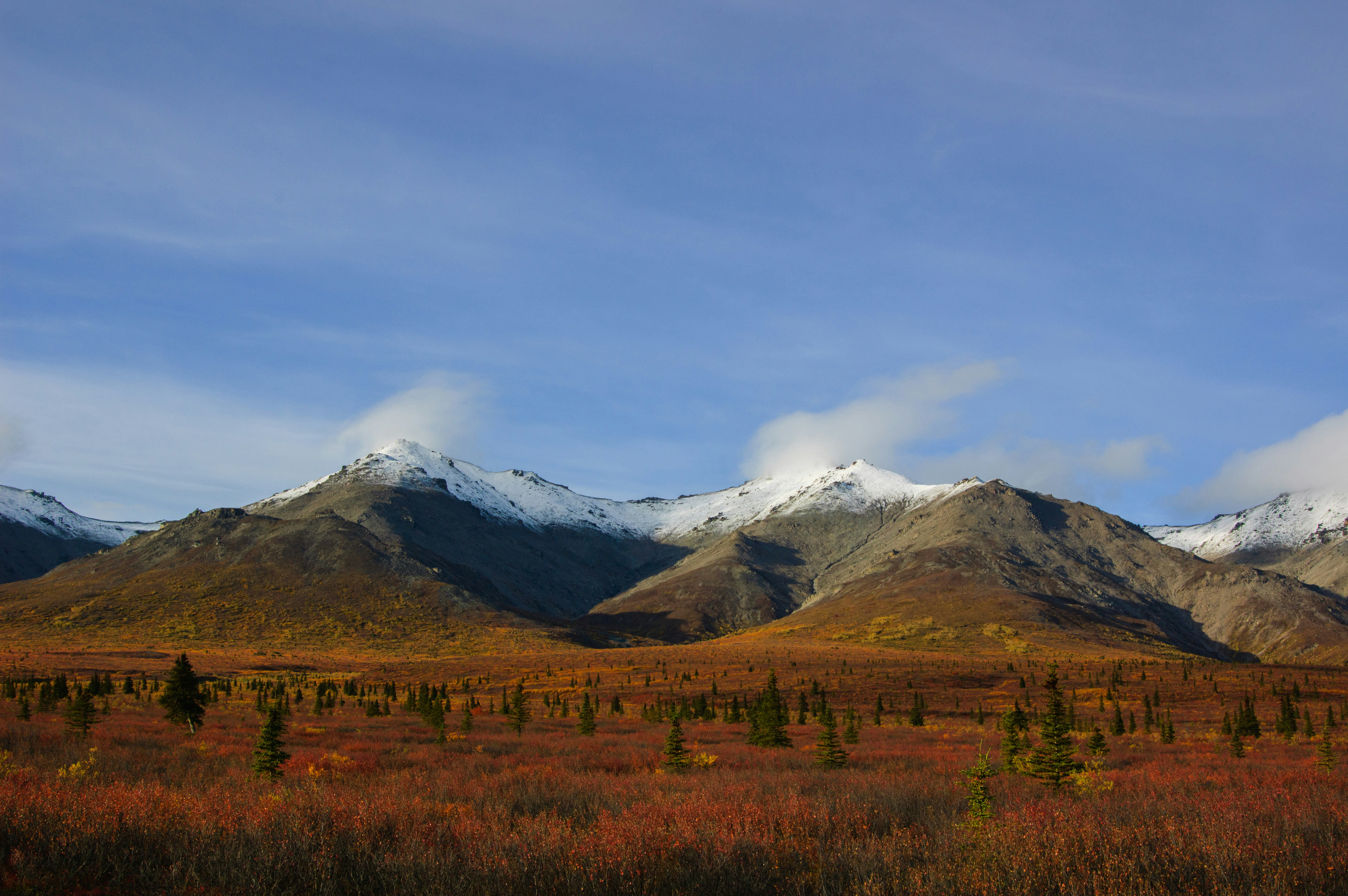Photo of Denali National Park and Preserve