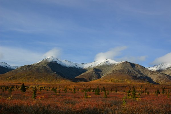 The mountains are covered in snow and brown grass — Denali, United States