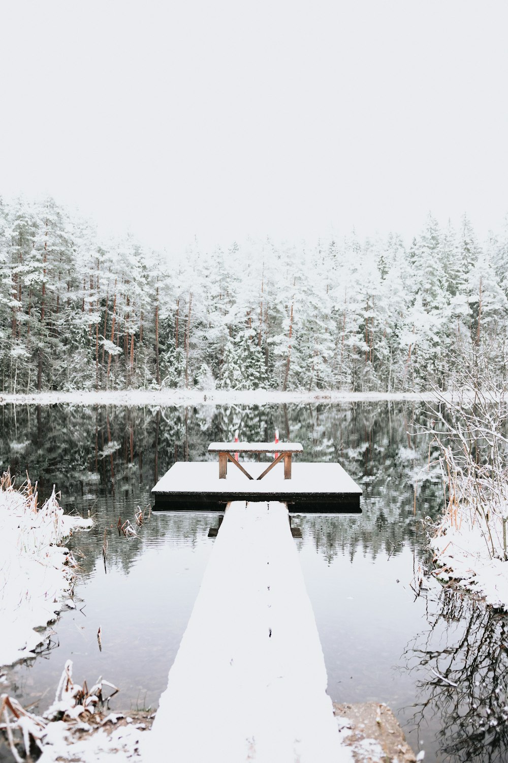 a snow covered dock sitting in the middle of a forest