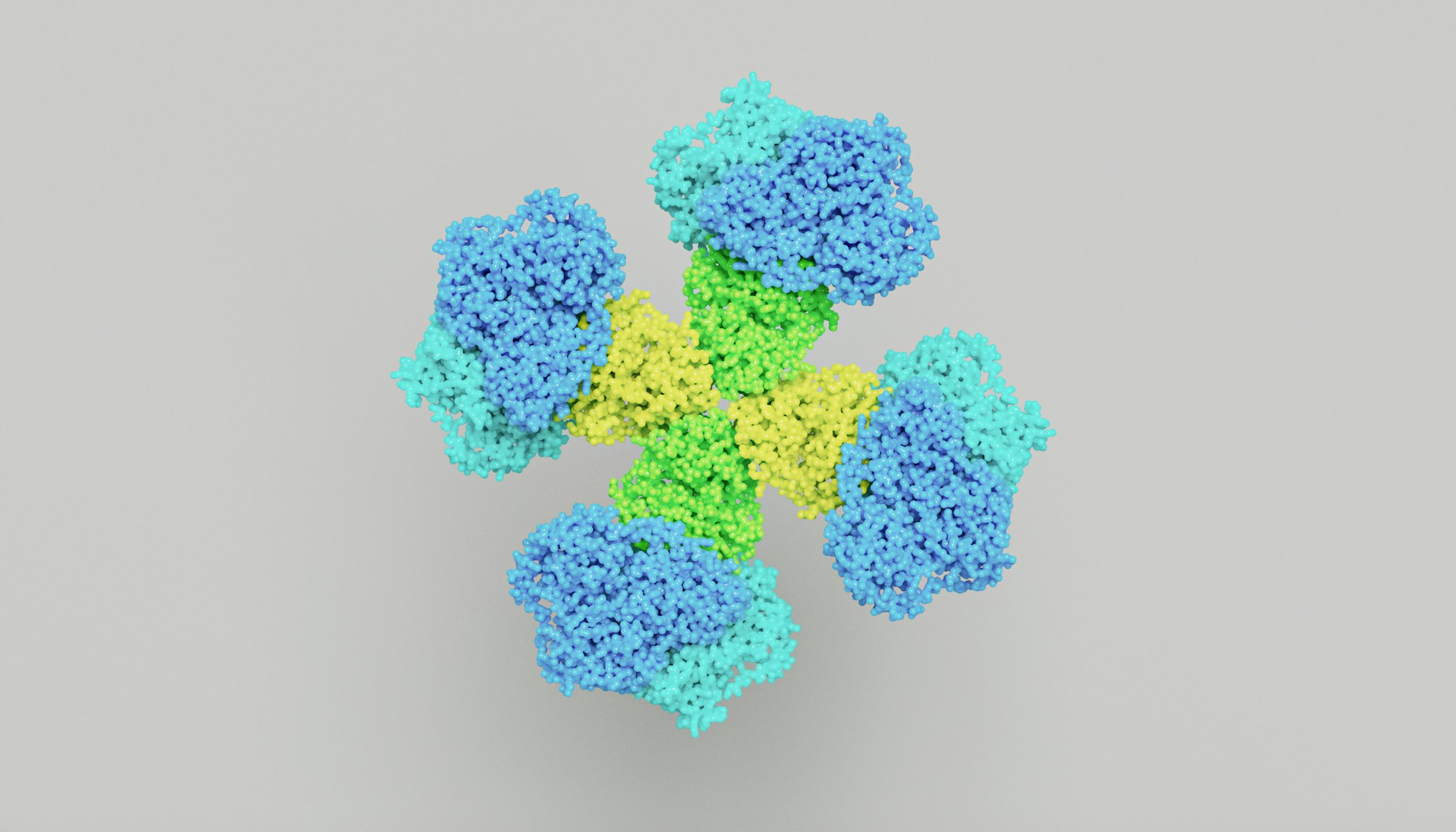 Acetohydroxyacid Synthase