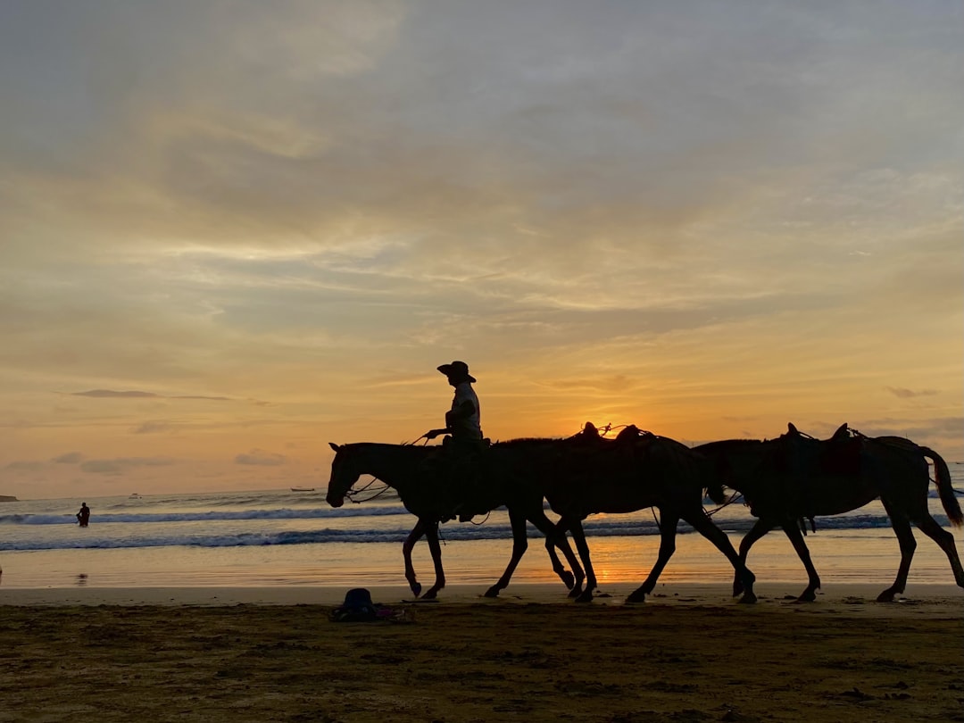 a group of people riding horses on top of a beach,