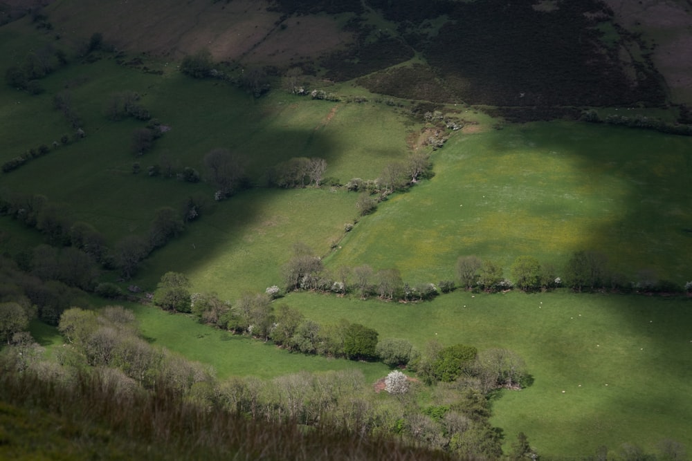 an aerial view of a lush green field