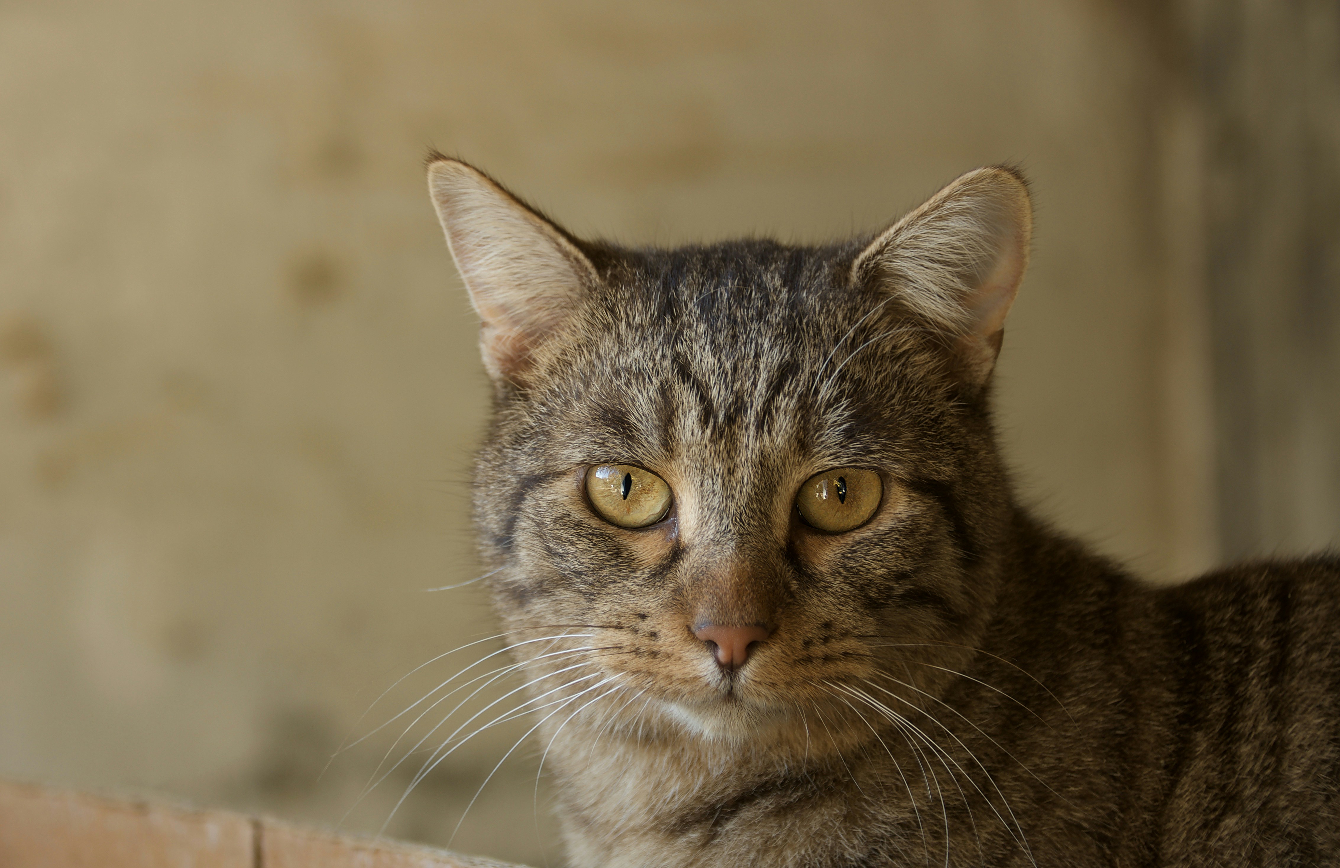 Photo by mariobeducci