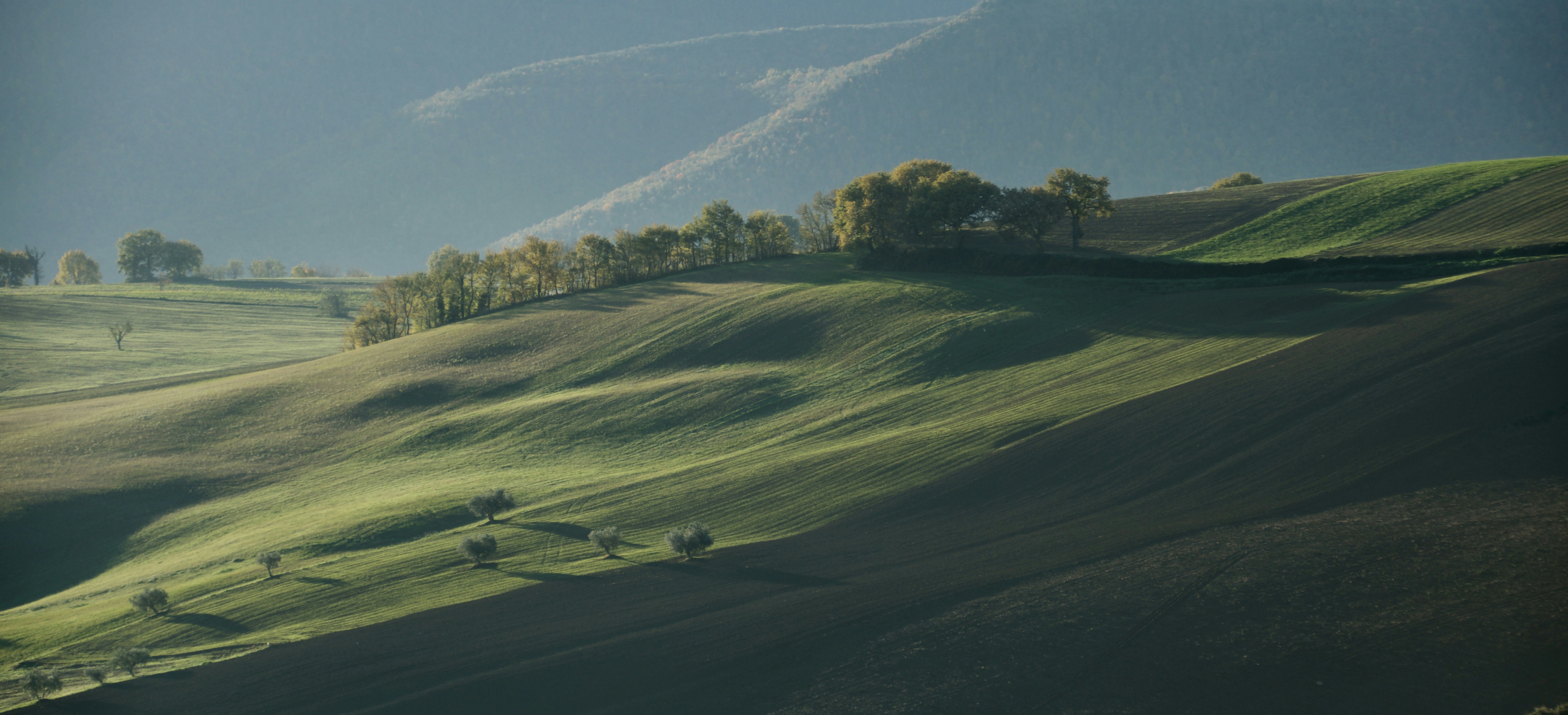 Photo by mariobeducci