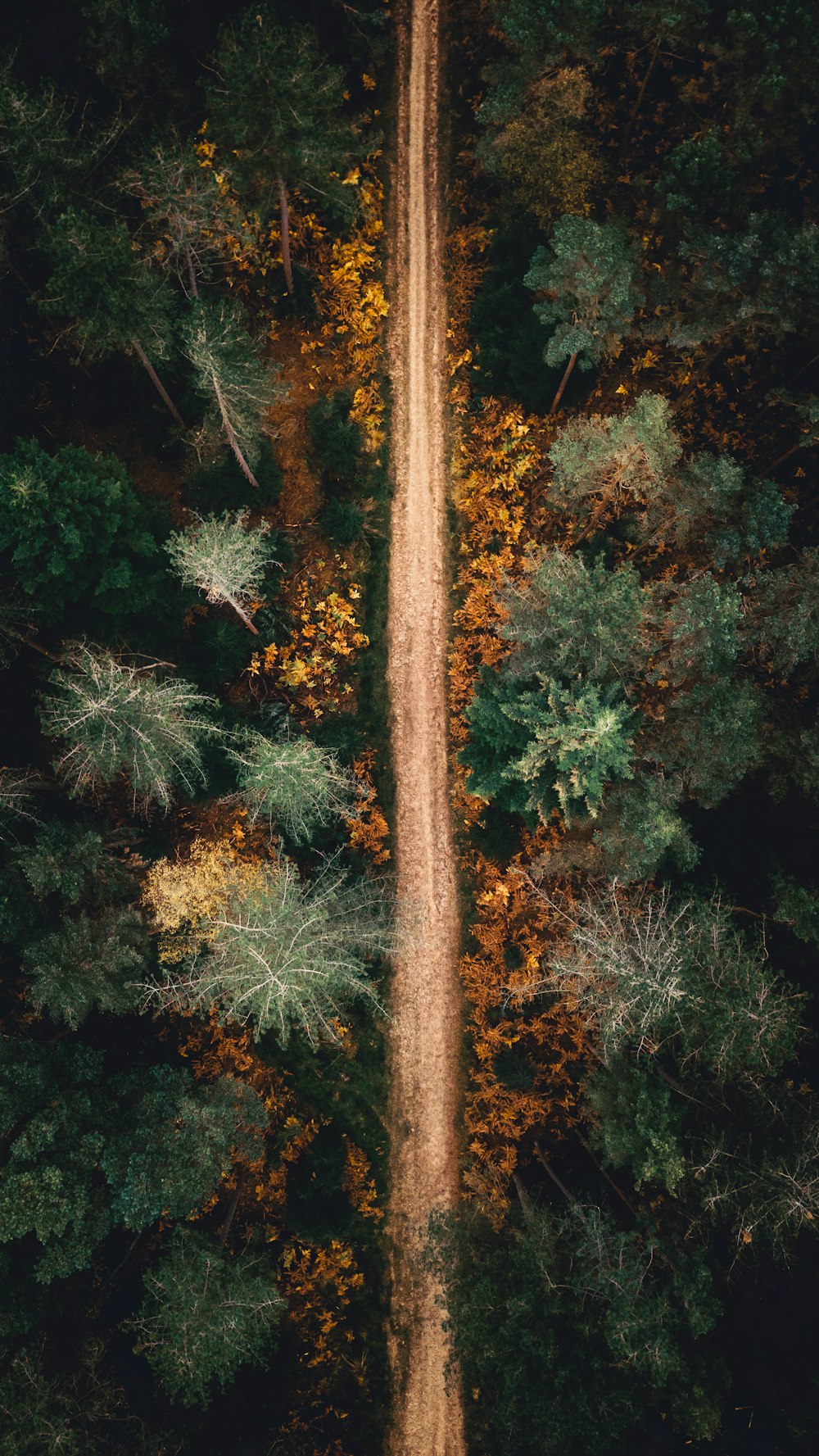 an aerial view of a dirt road surrounded by trees