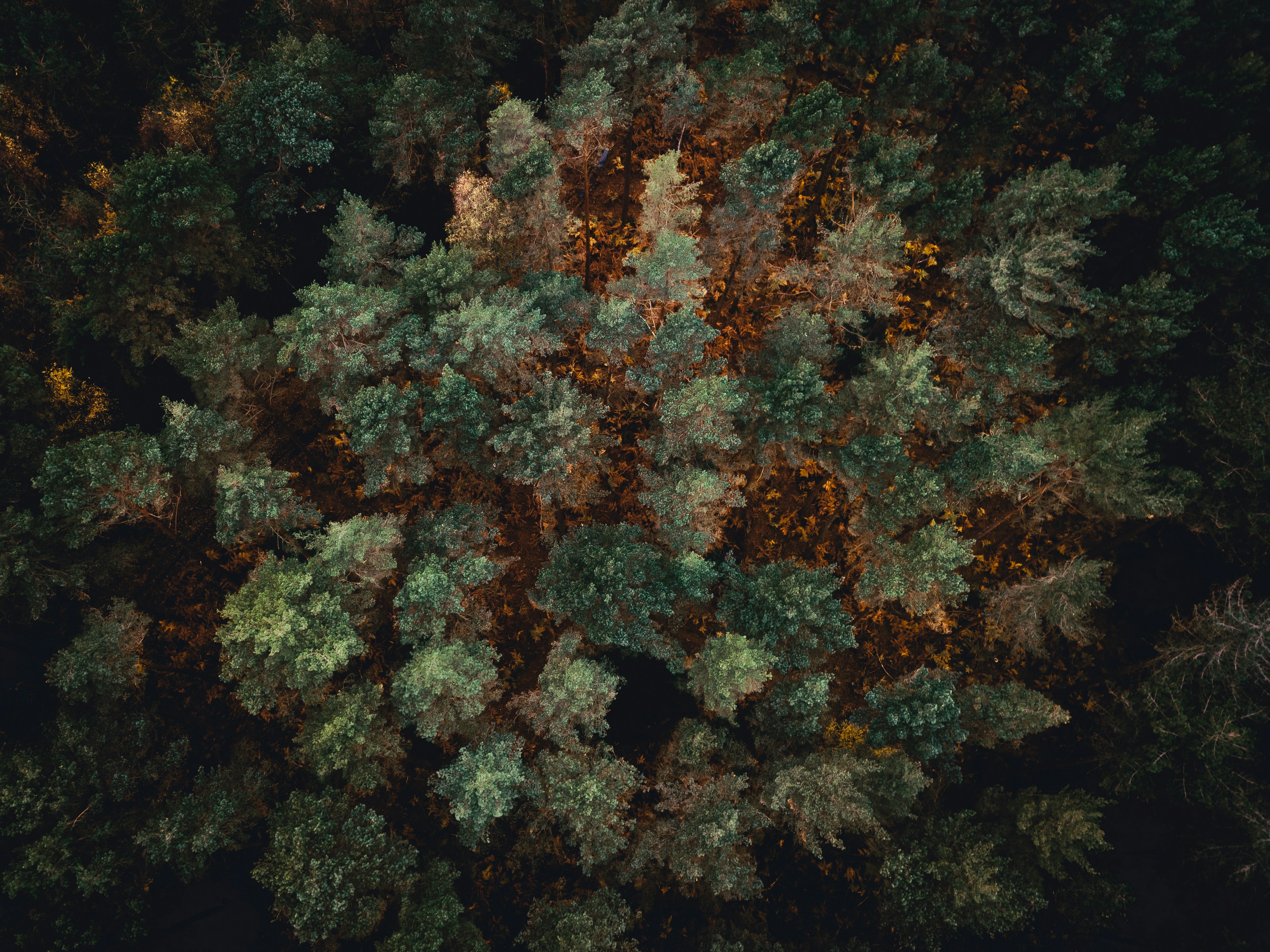 Photo by unstable_affliction