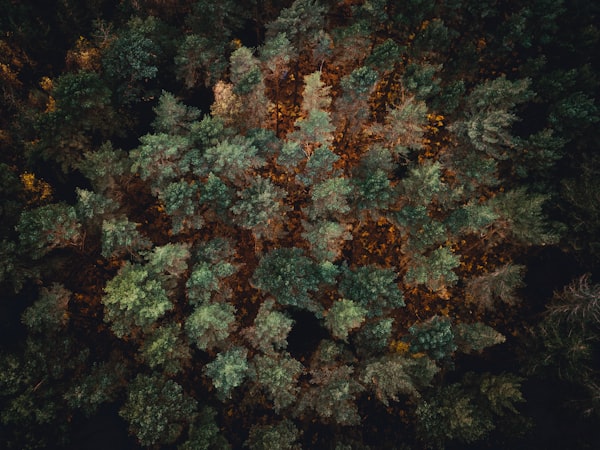 Search and Rescue / Animal Recovery Support