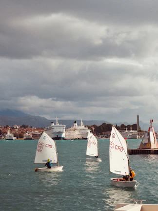 Group of students practicing maneuvers on a small sailboat near the coast.