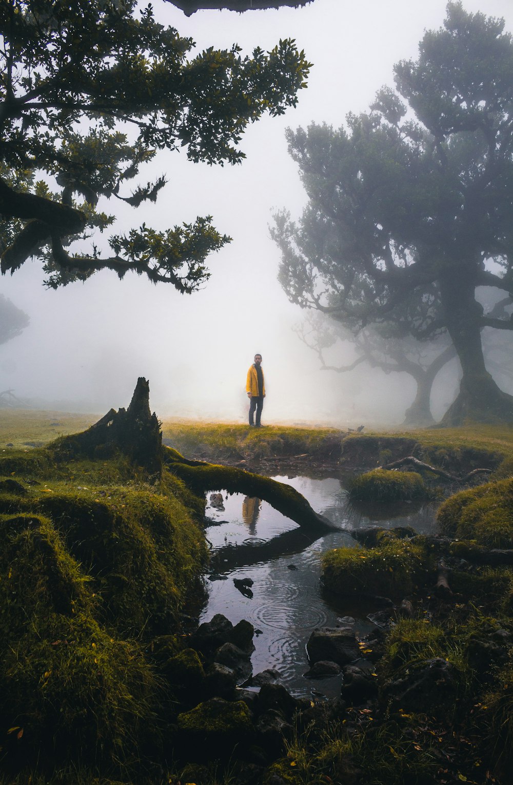 a man standing on a mossy bank next to a creek