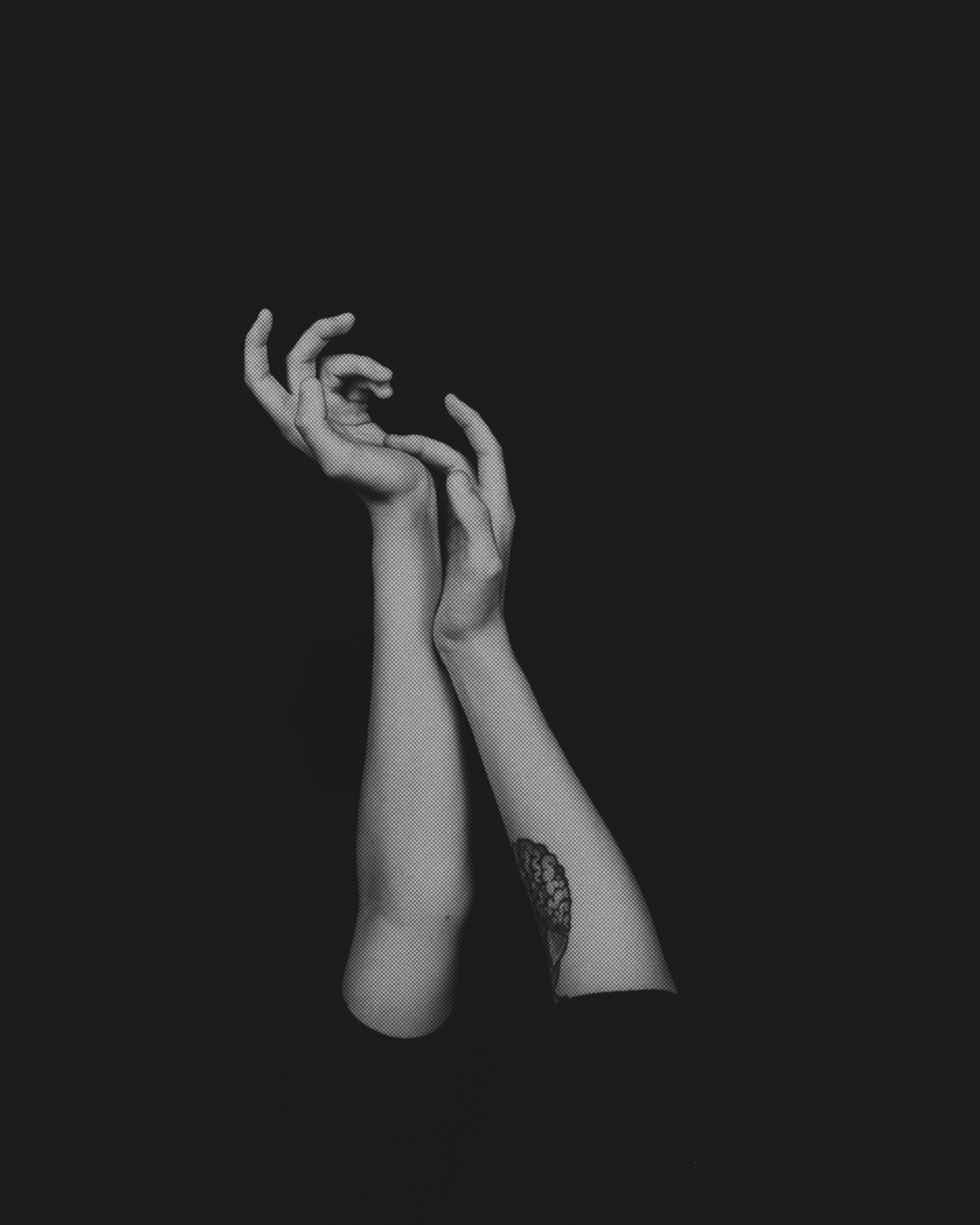 Workshops & Immersions