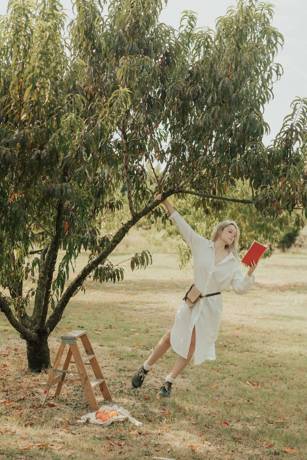 Eine Frau in einem weißen Kleid schwingt auf einem Baum