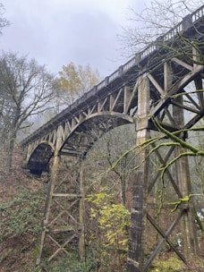 A misty old wooden bridge over a quiet river at dusk, with shadowy ravens perched along the railing.