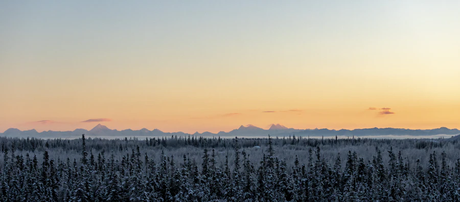 Alaska aerial panorama