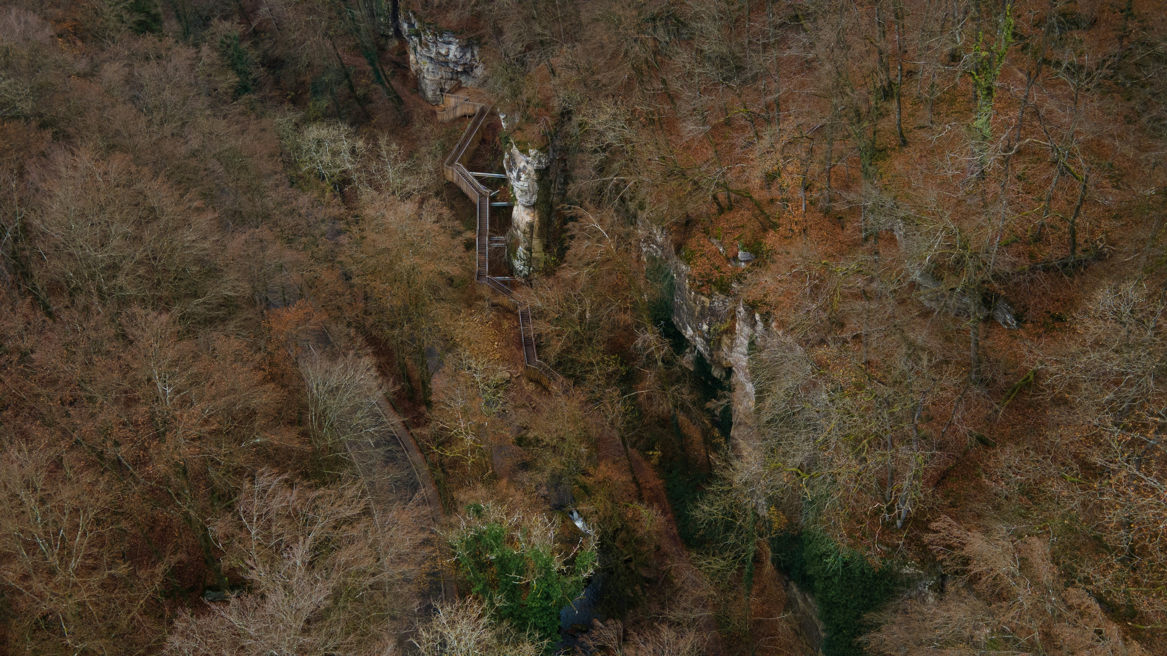 Photo by guillaumevdn