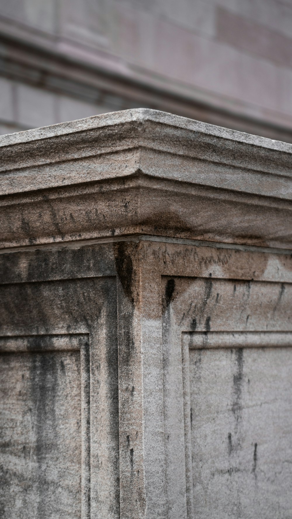 a bird is perched on the corner of a building