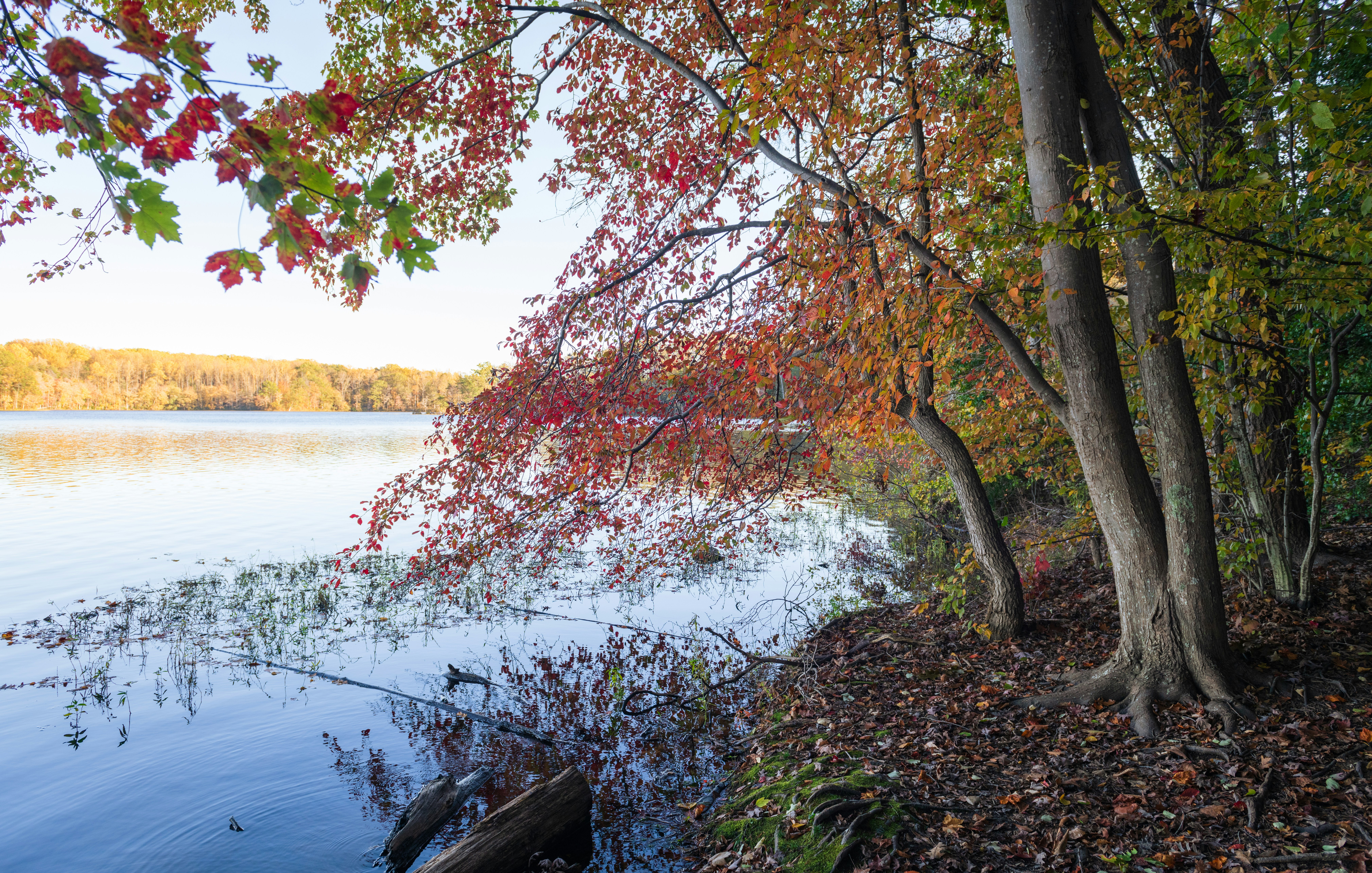 Photo by sriniunsplash