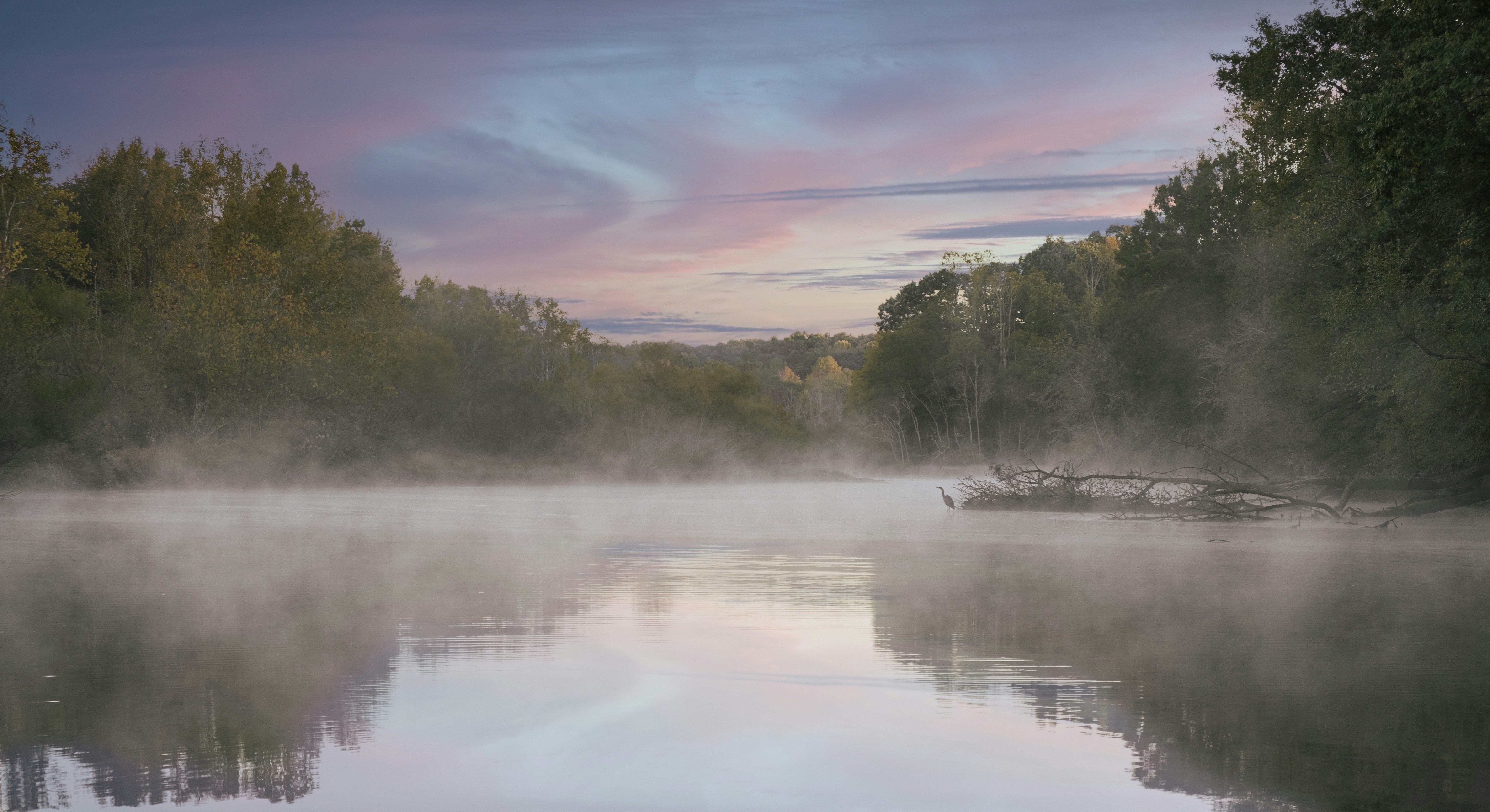 a body of water surrounded by trees and fog