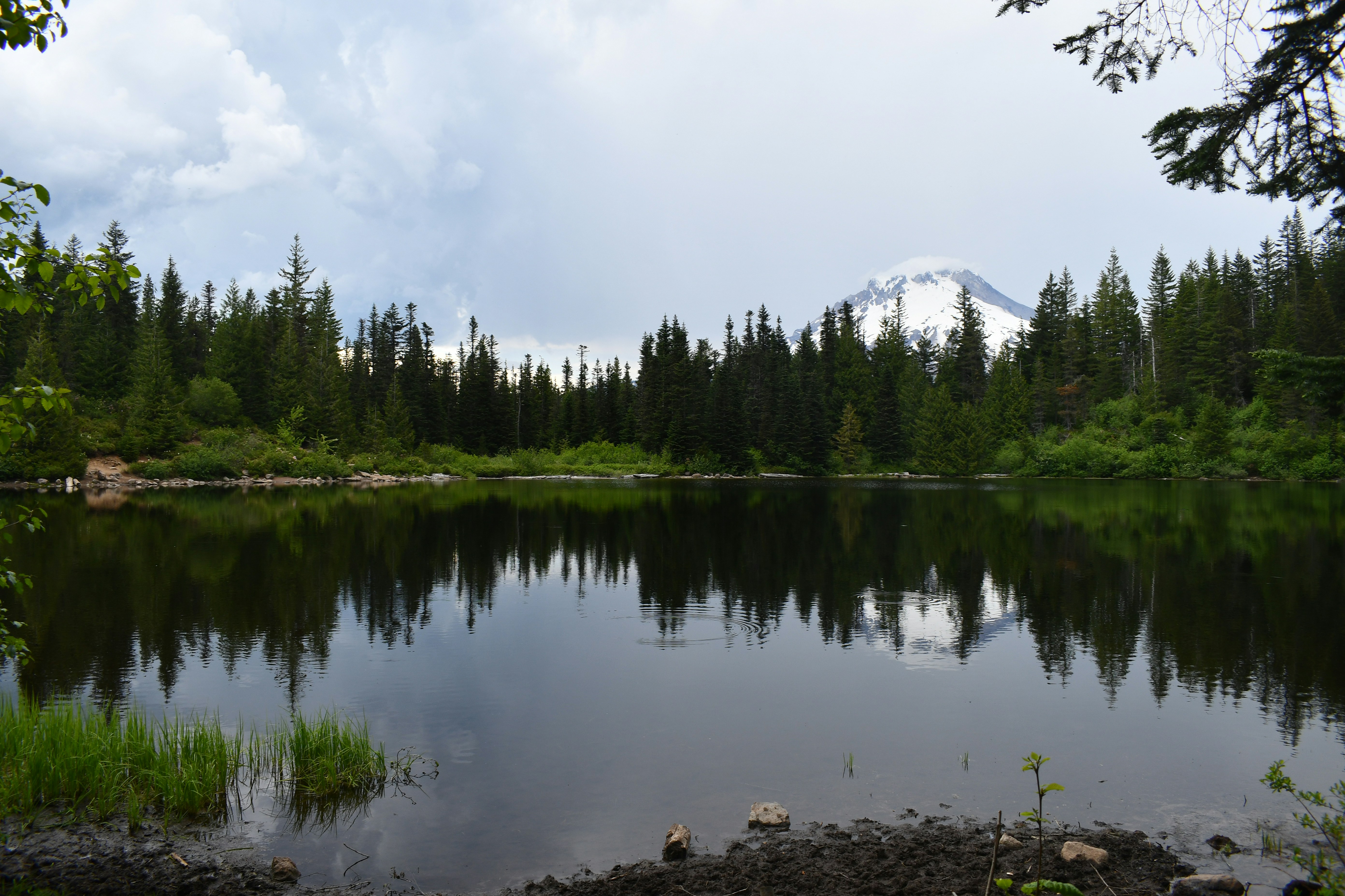 Photo by jackcharles