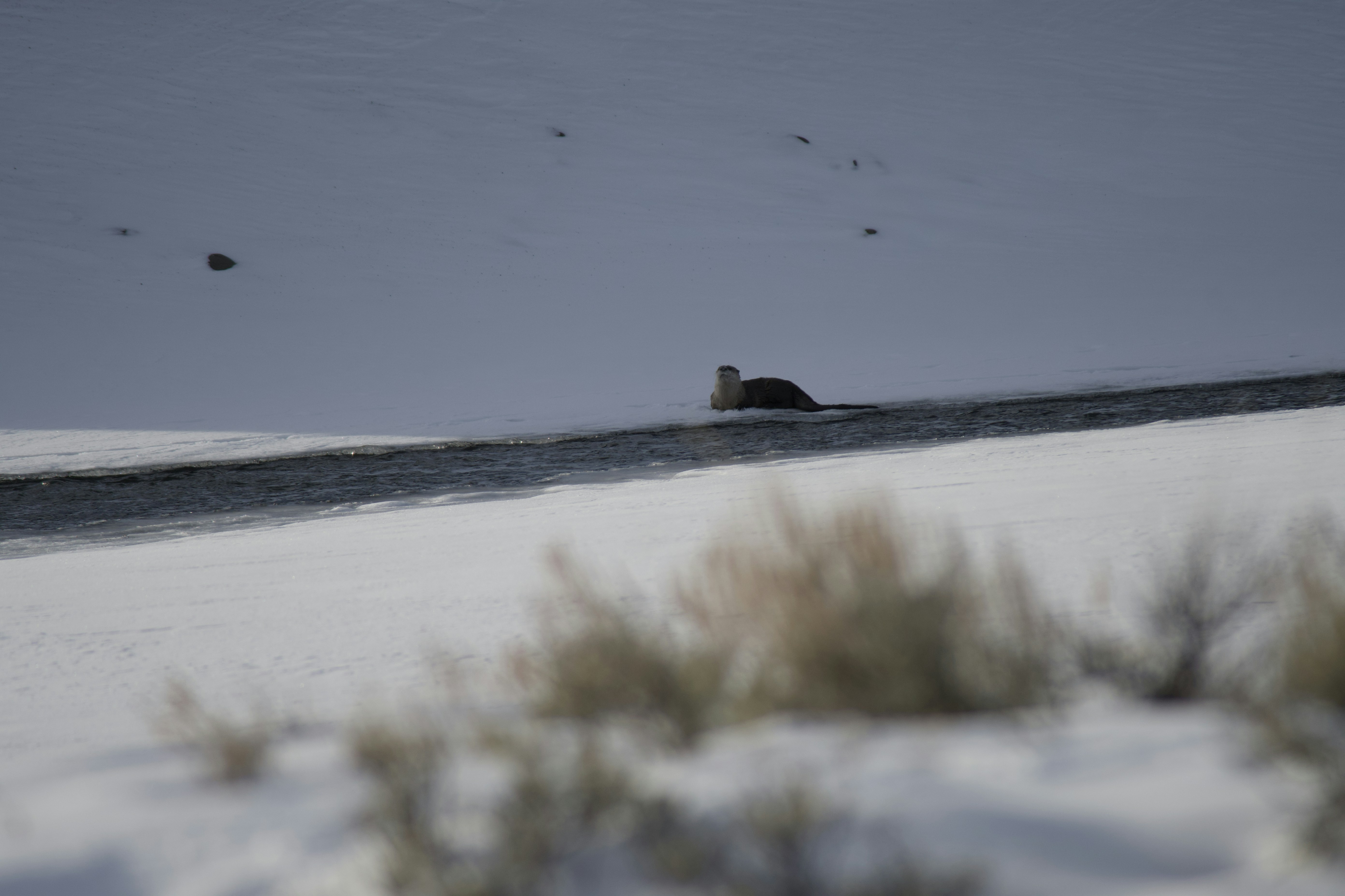 Photo by jackcharles