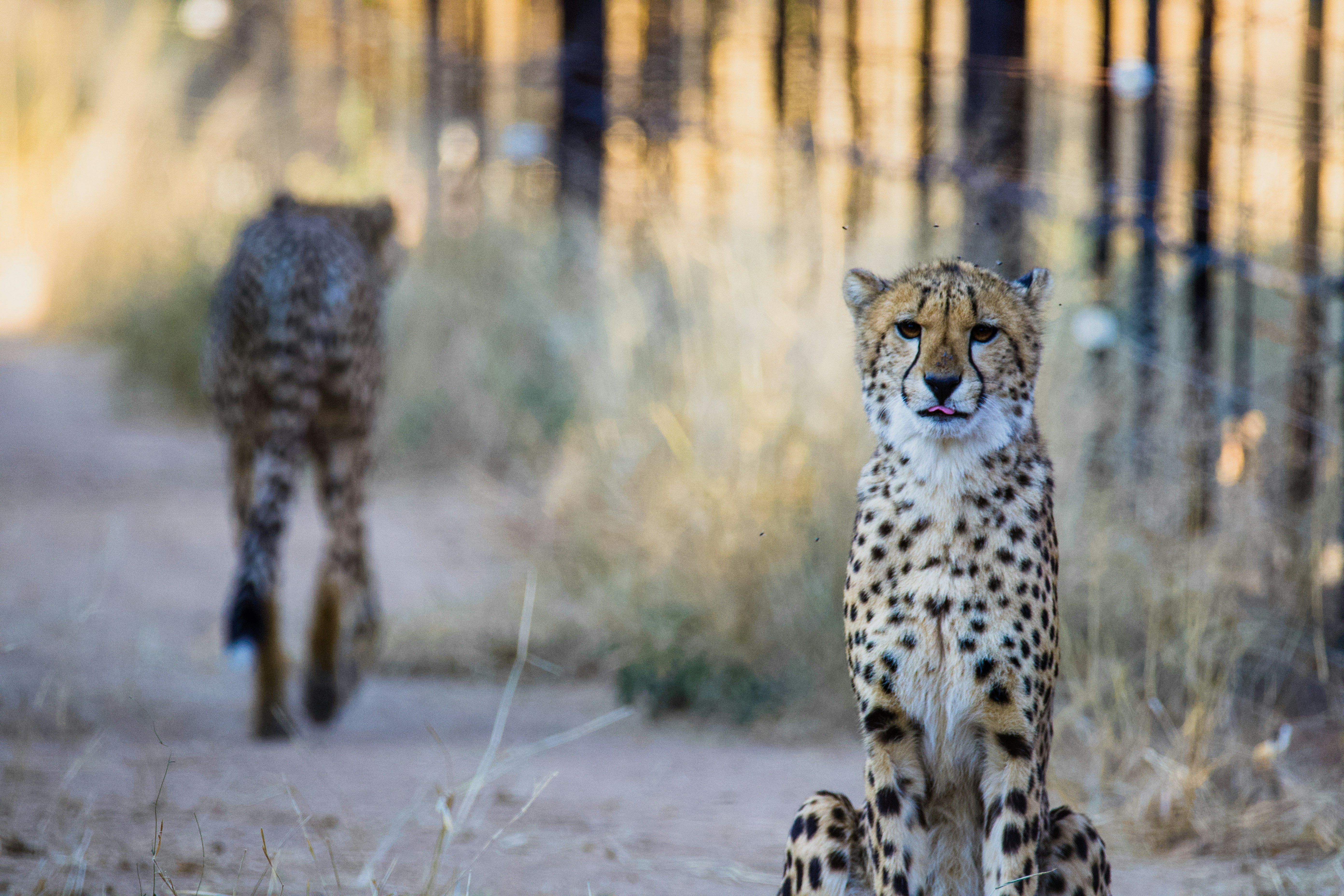 Photo by jackcharles