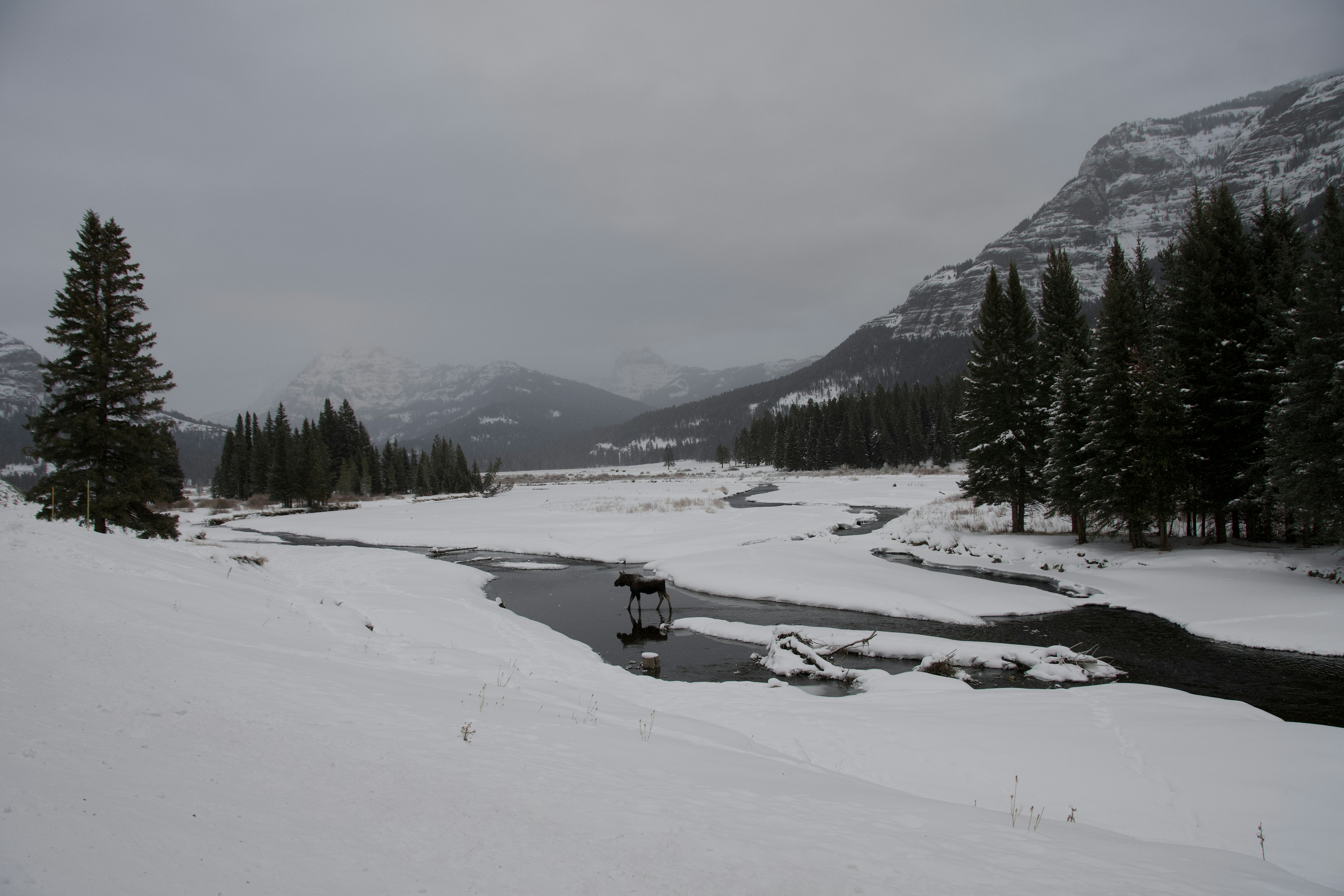 Photo by jackcharles