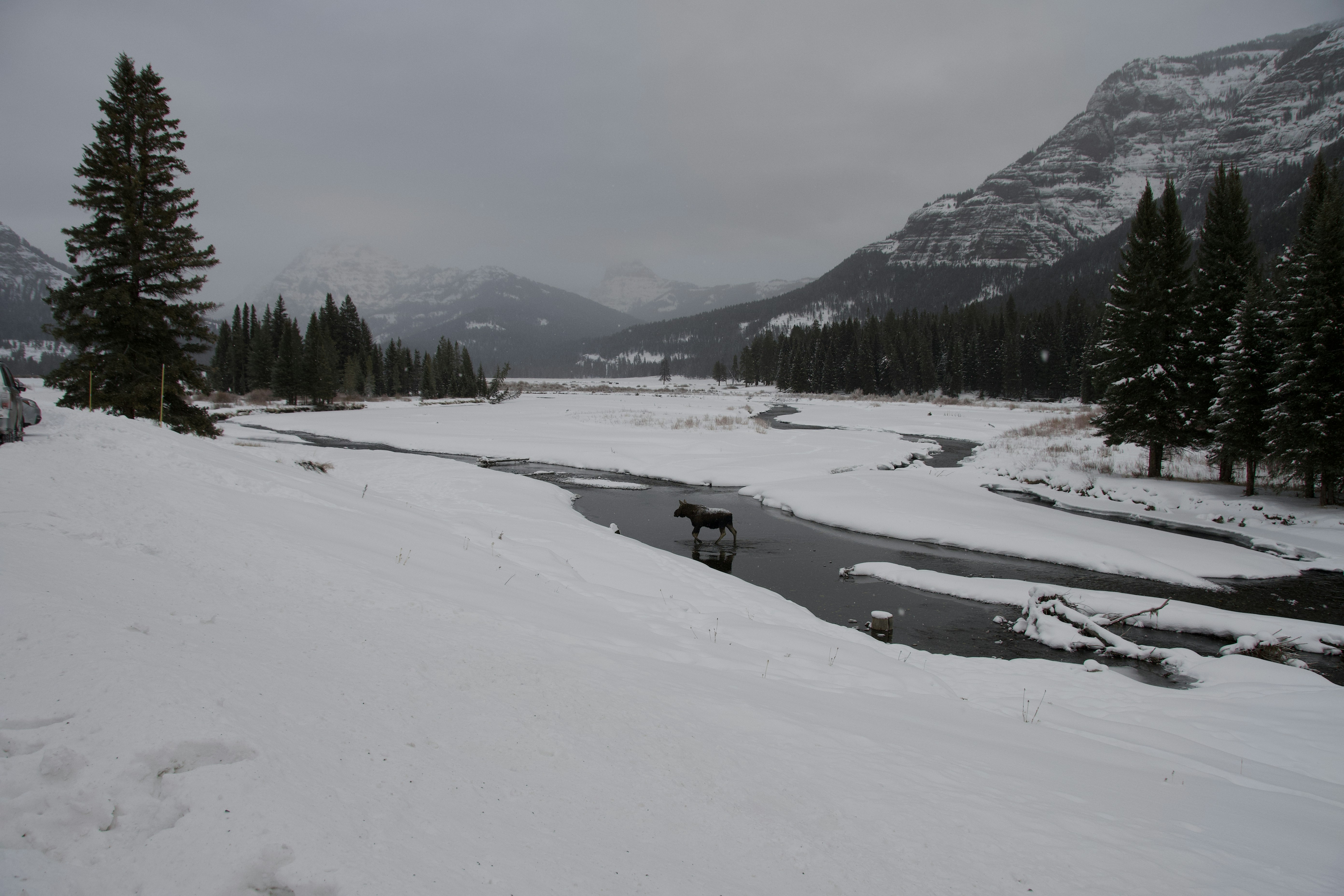 Photo by jackcharles