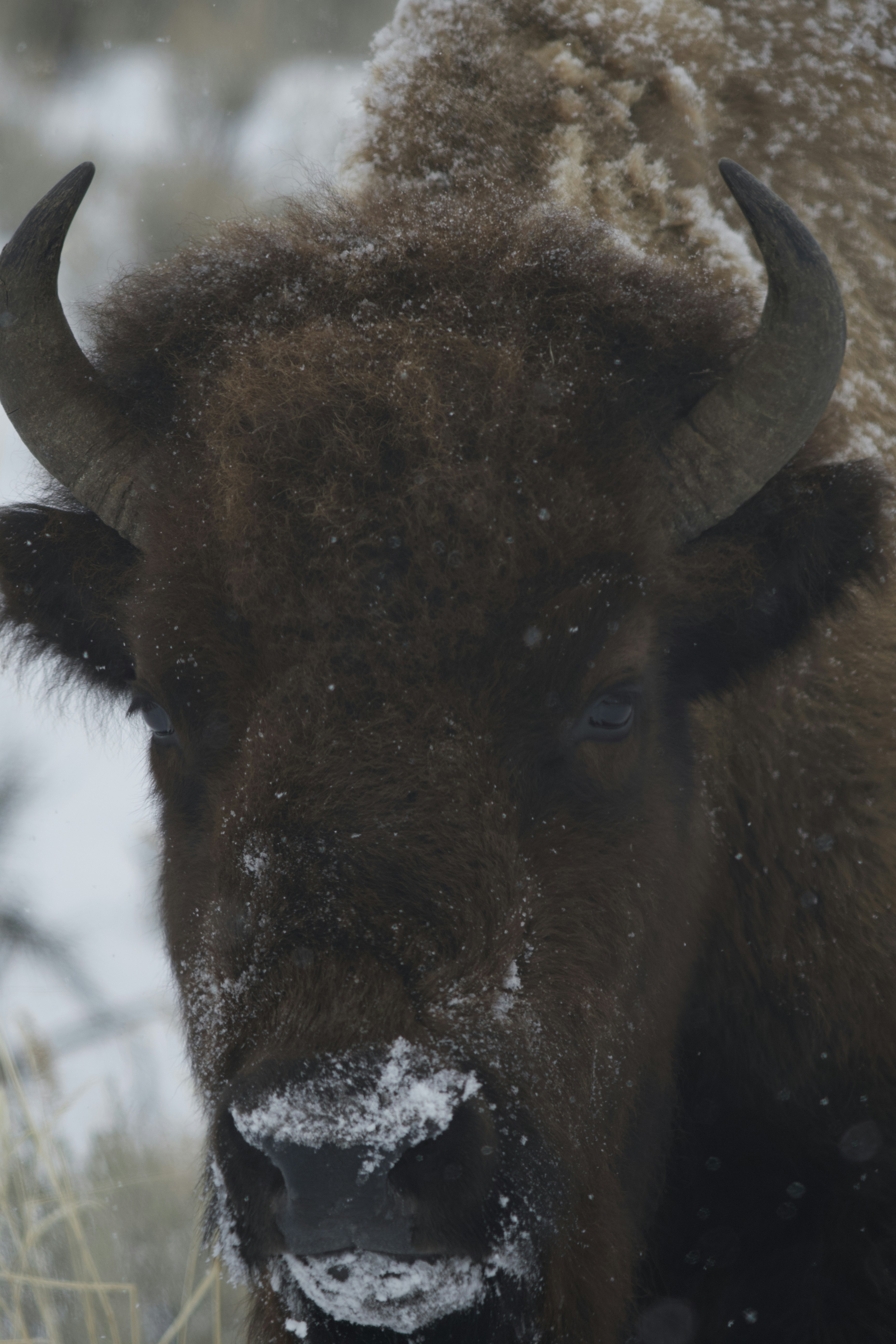 Photo by jackcharles