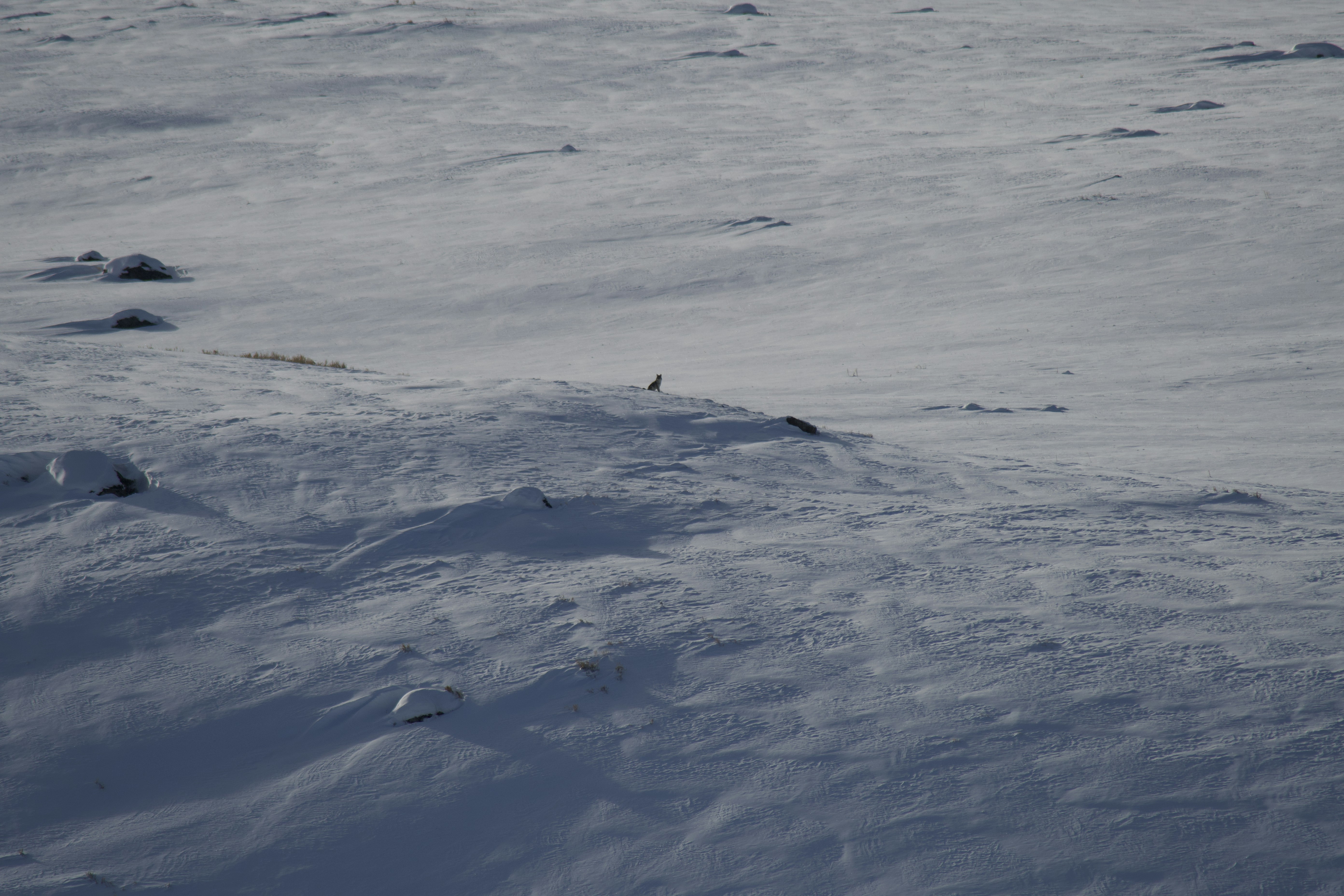 Photo by jackcharles