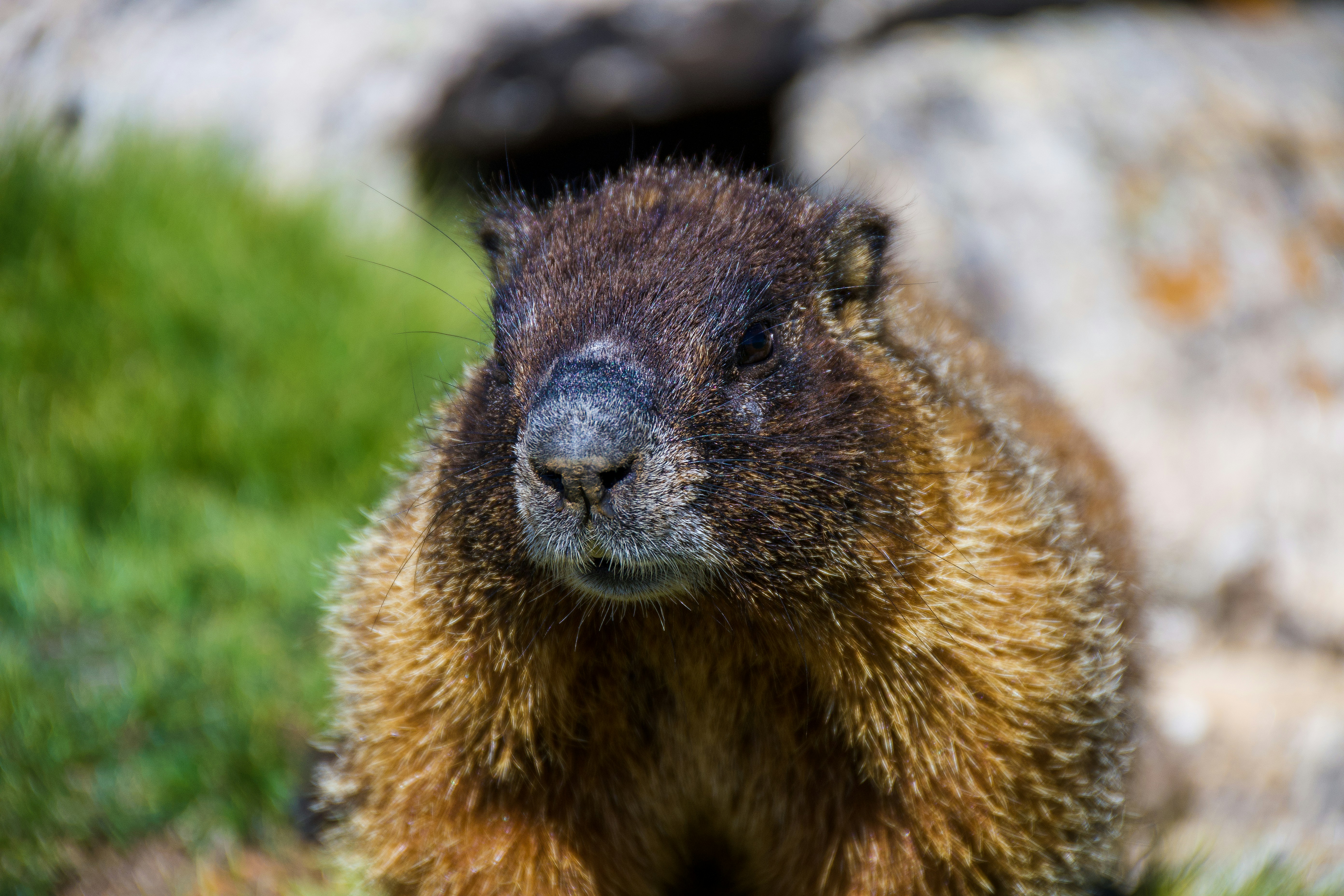 Photo by jackcharles