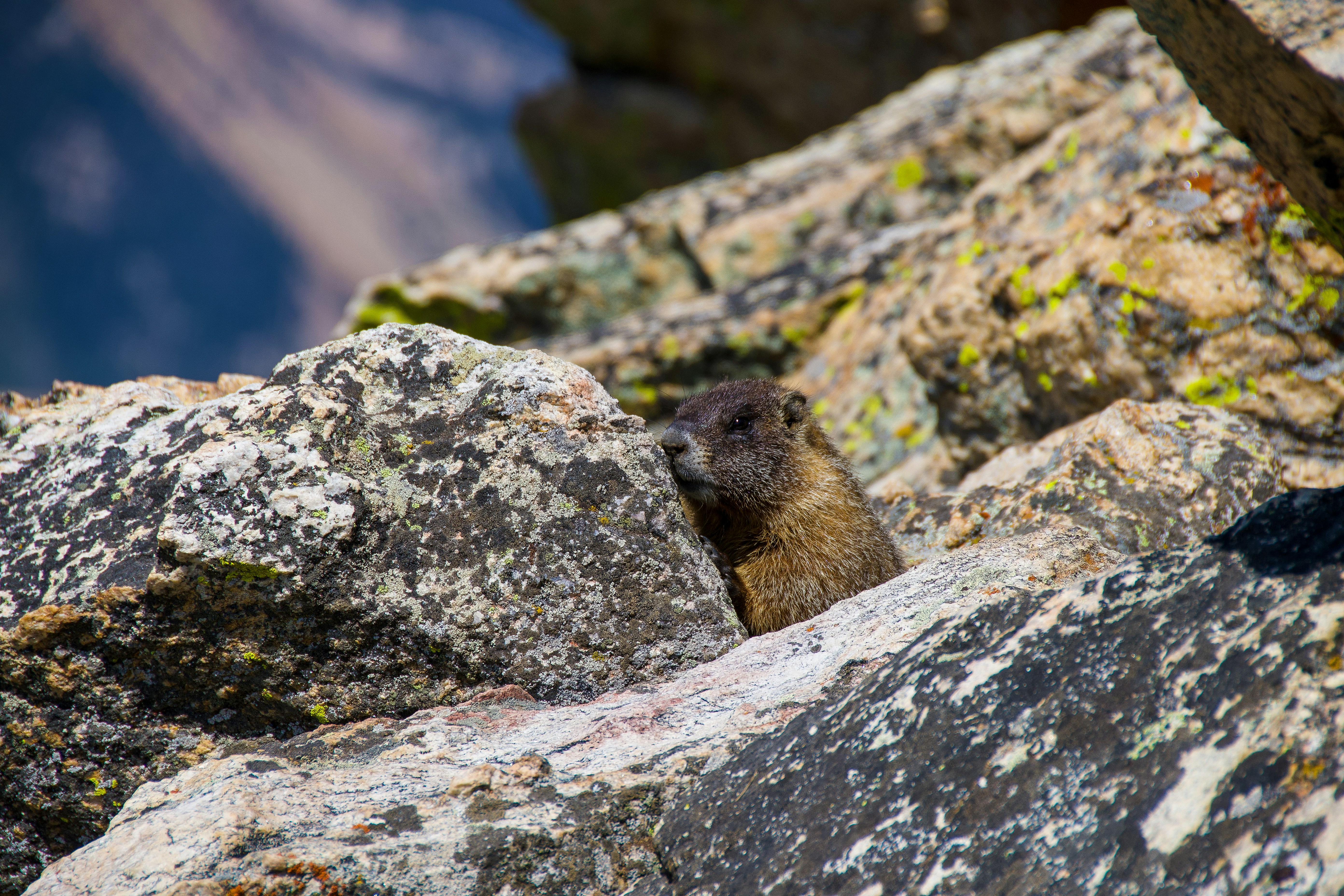 Photo by jackcharles